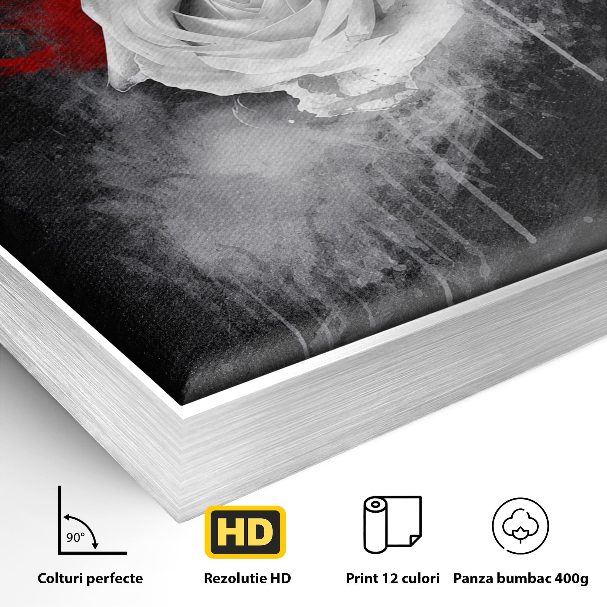 Tablou Canvas Premium LuxCanva® A1873, Trandafirul Monocrom, Trandafir, Arta Abstracta, Floral, Dramatic, Dormitor, Culori Vibrante