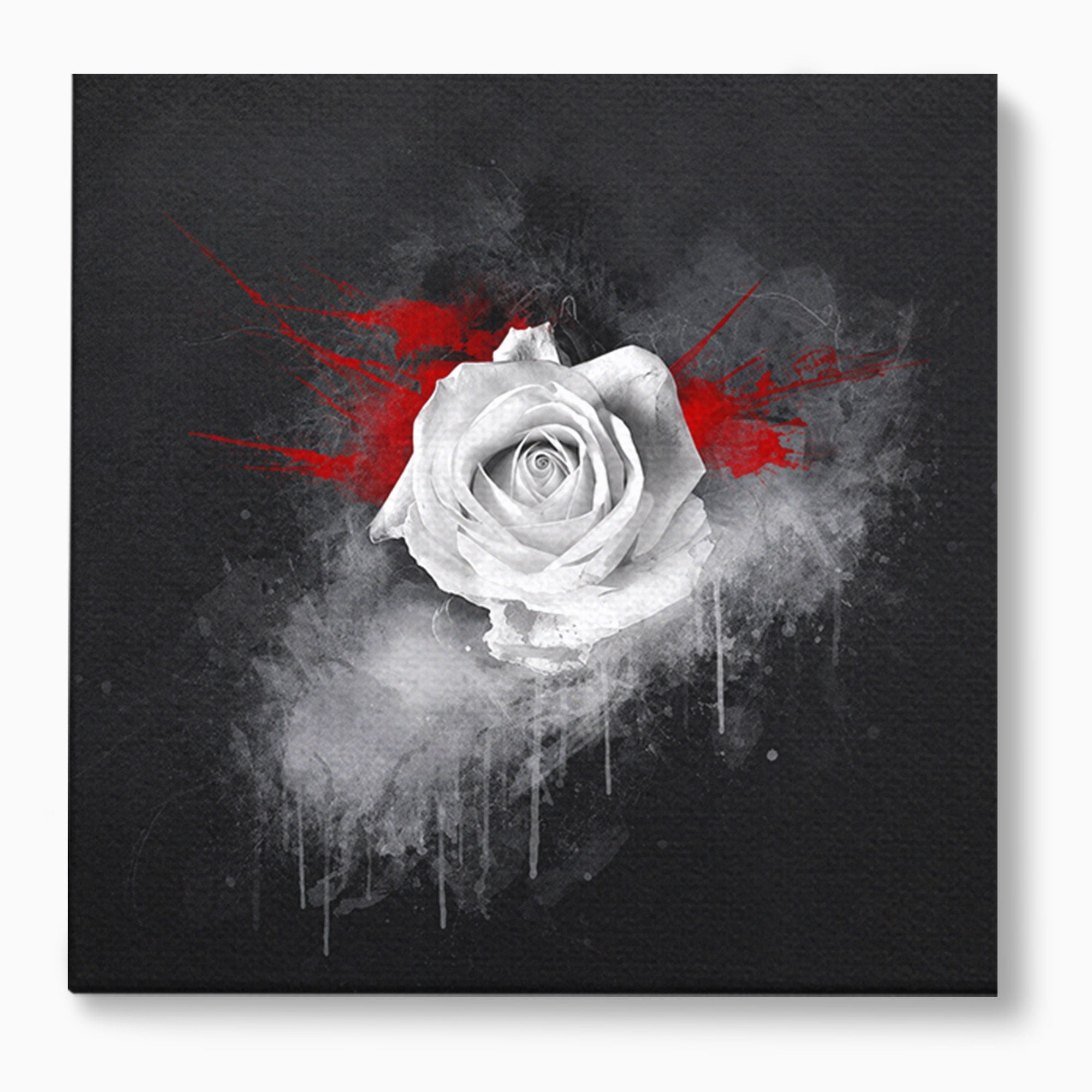 Tablou Canvas Premium LuxCanva® A1873, Trandafirul Monocrom, Trandafir, Arta Abstracta, Floral, Dramatic, Dormitor, Culori Vibrante