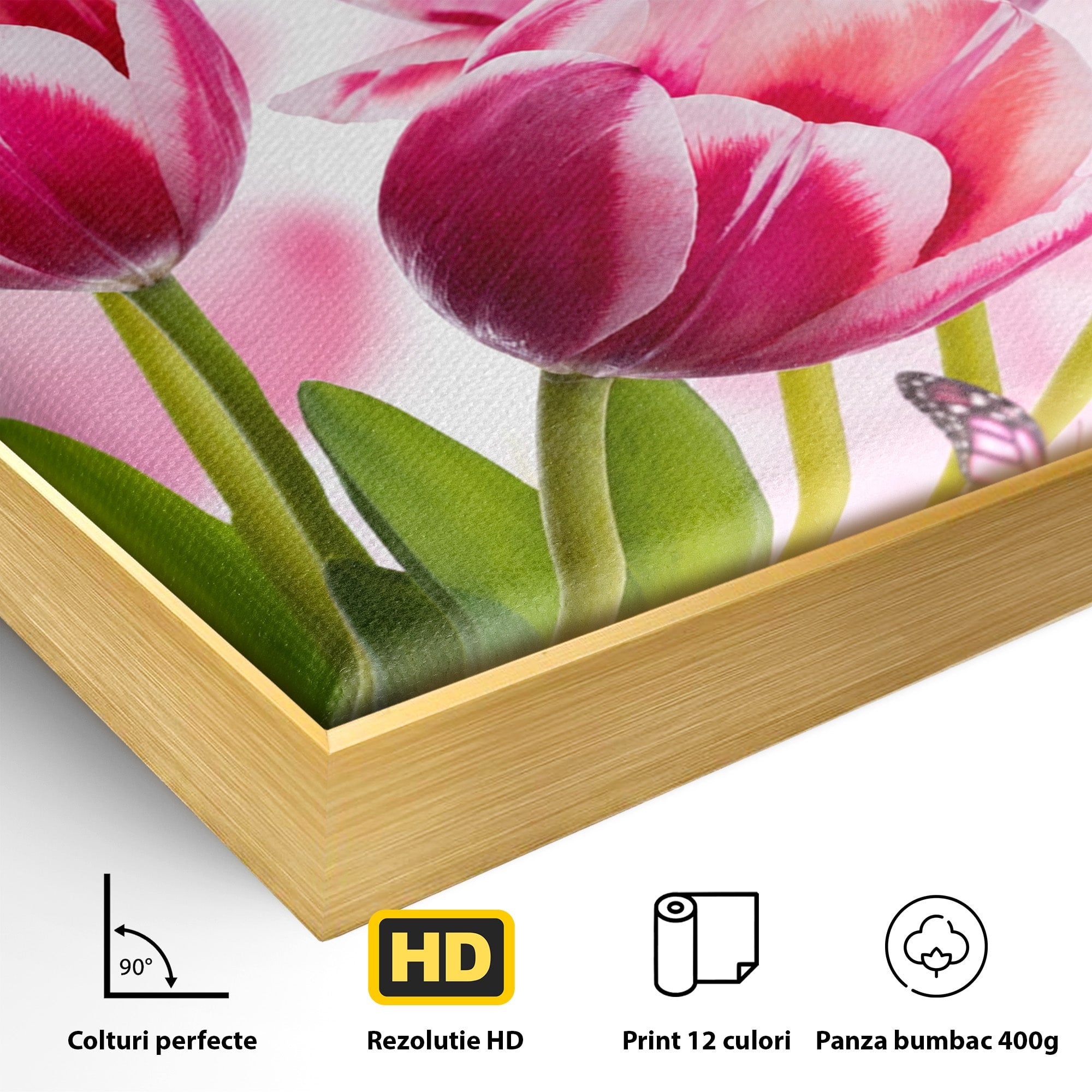 Tablou Canvas Premium LuxCanva® A1876, Lalele Si Fluturi, Lalele, Fluturi, Natura, Primavara, Dormitor, Culori Vibrante