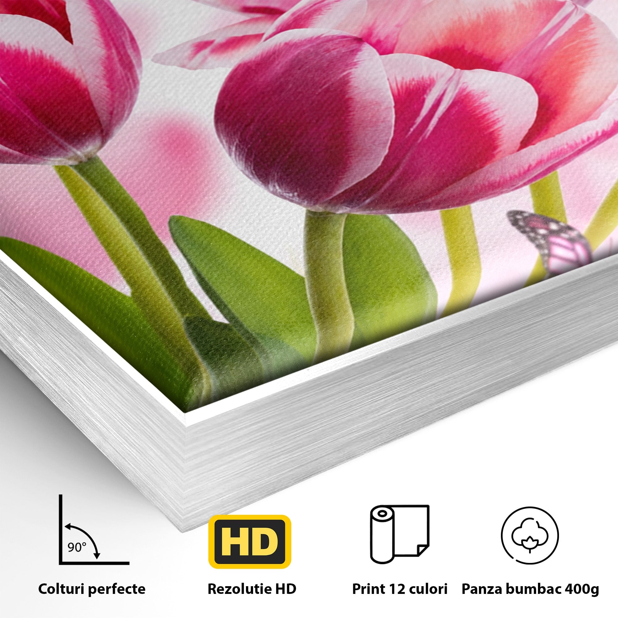 Tablou Canvas Premium LuxCanva® A1876, Lalele Si Fluturi, Lalele, Fluturi, Natura, Primavara, Dormitor, Culori Vibrante