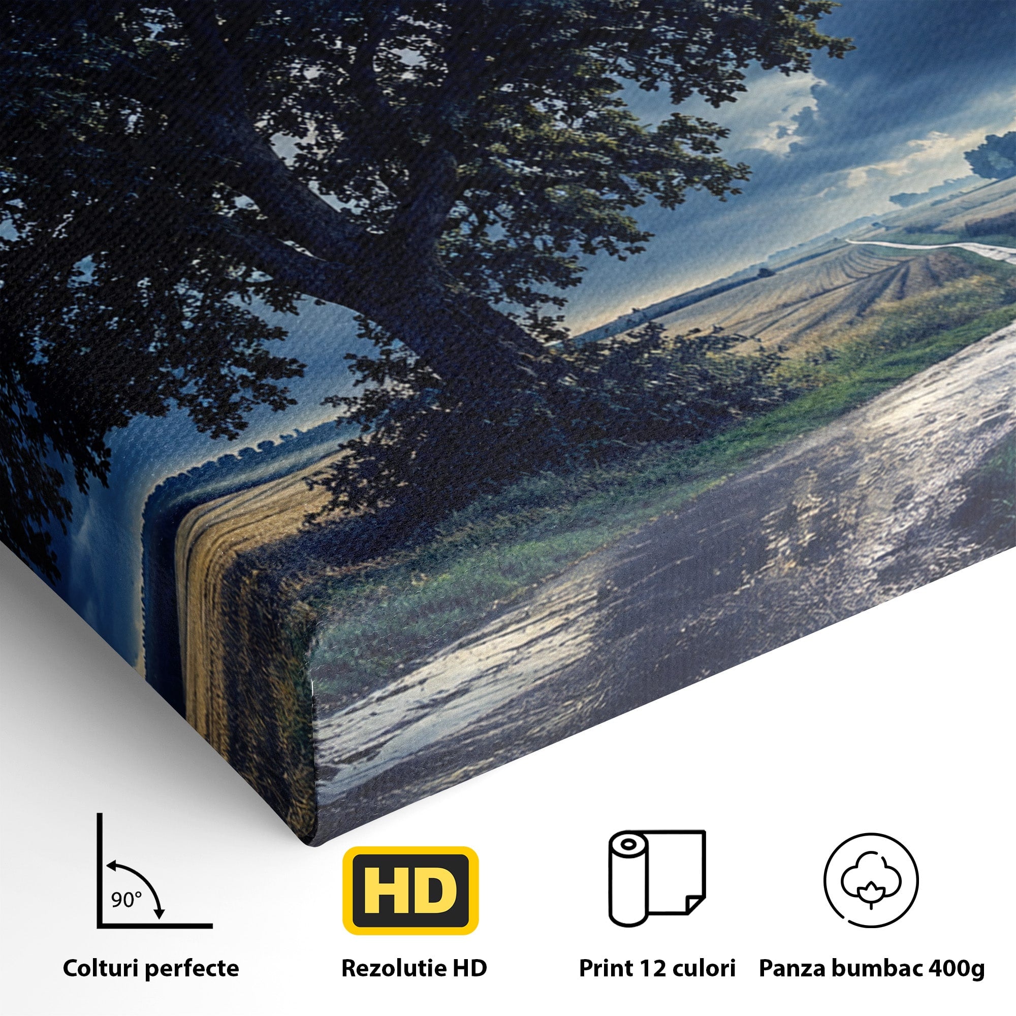 Tablou Canvas Premium LuxCanva® A1884, Luna Plina si Copacul Solitar, Copac, Luna, Peisaj, Noapte, Living, Culori Vibrante