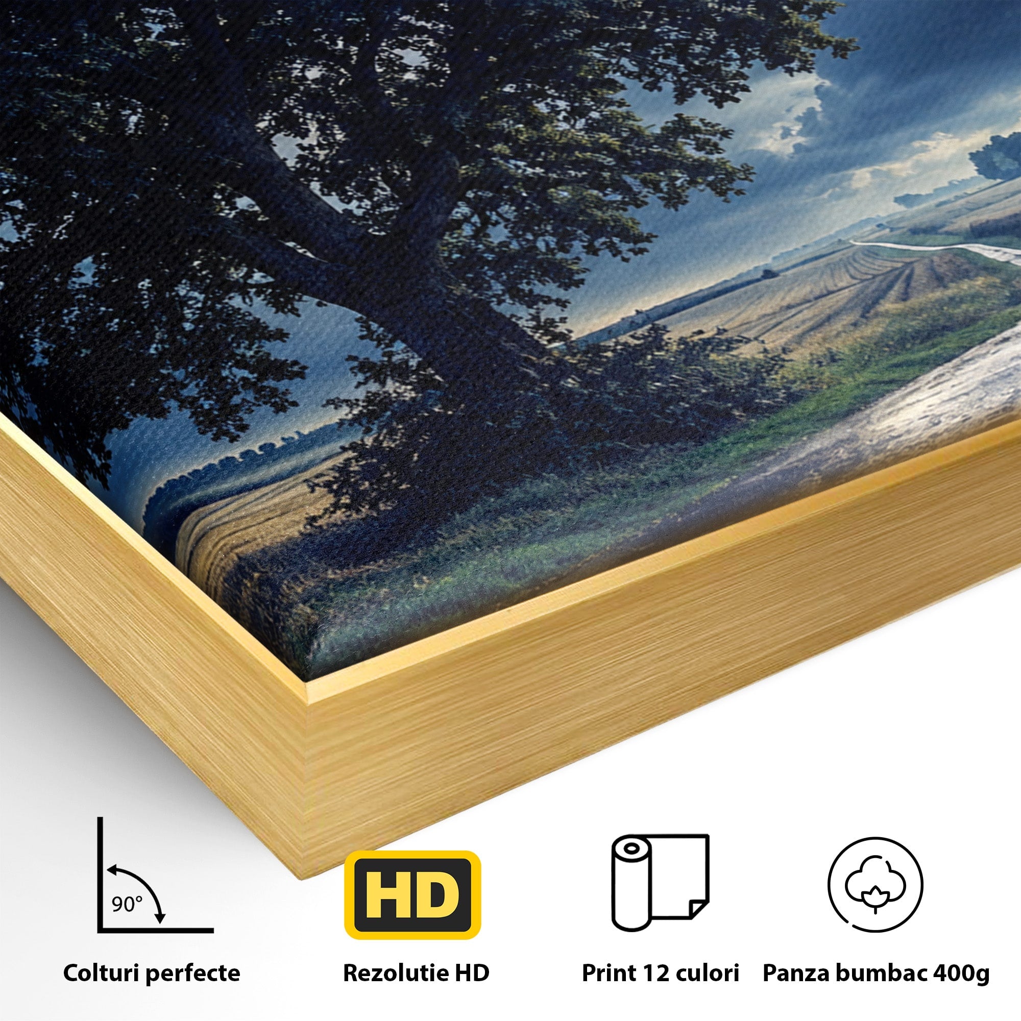 Tablou Canvas Premium LuxCanva® A1884, Luna Plina si Copacul Solitar, Copac, Luna, Peisaj, Noapte, Living, Culori Vibrante