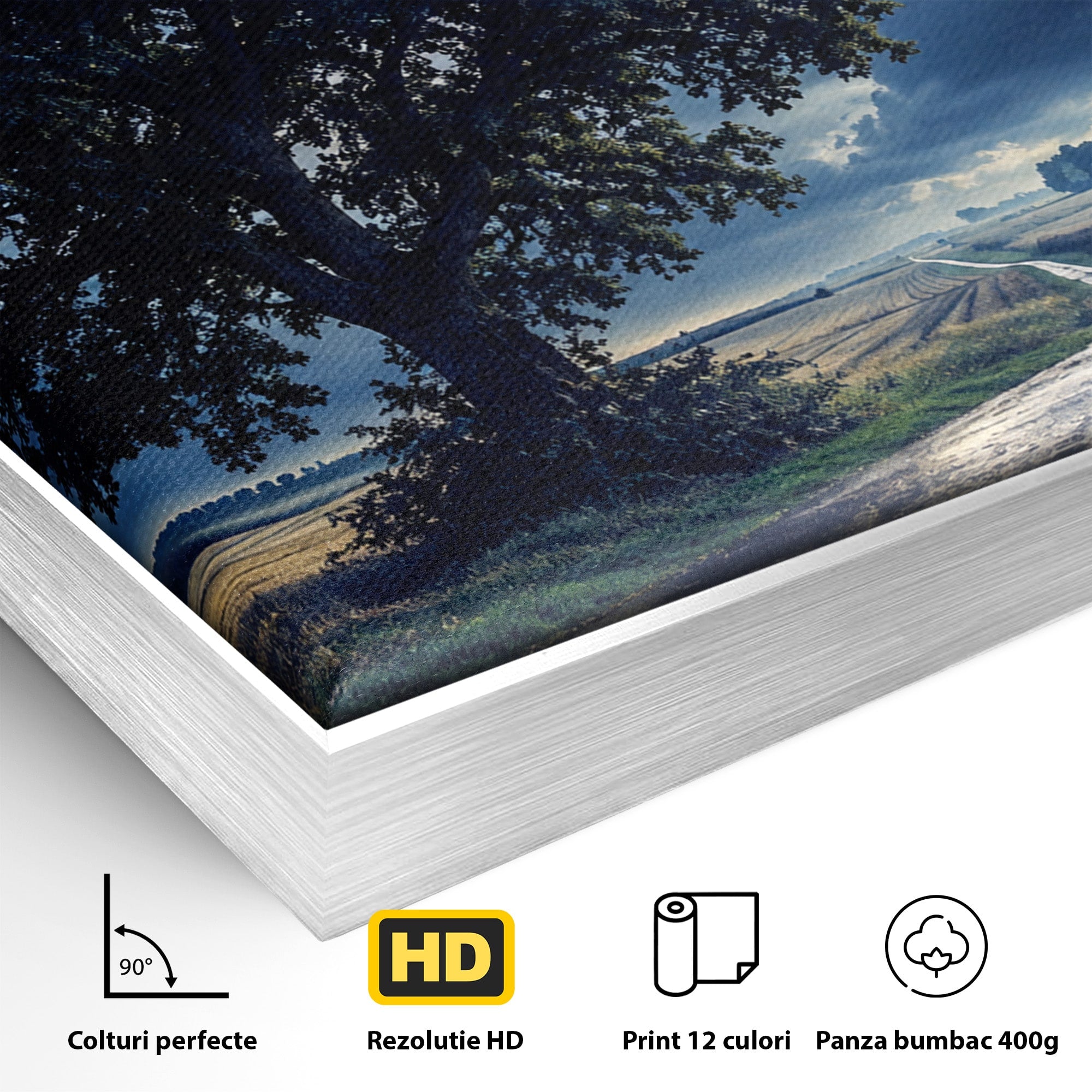 Tablou Canvas Premium LuxCanva® A1884, Luna Plina si Copacul Solitar, Copac, Luna, Peisaj, Noapte, Living, Culori Vibrante