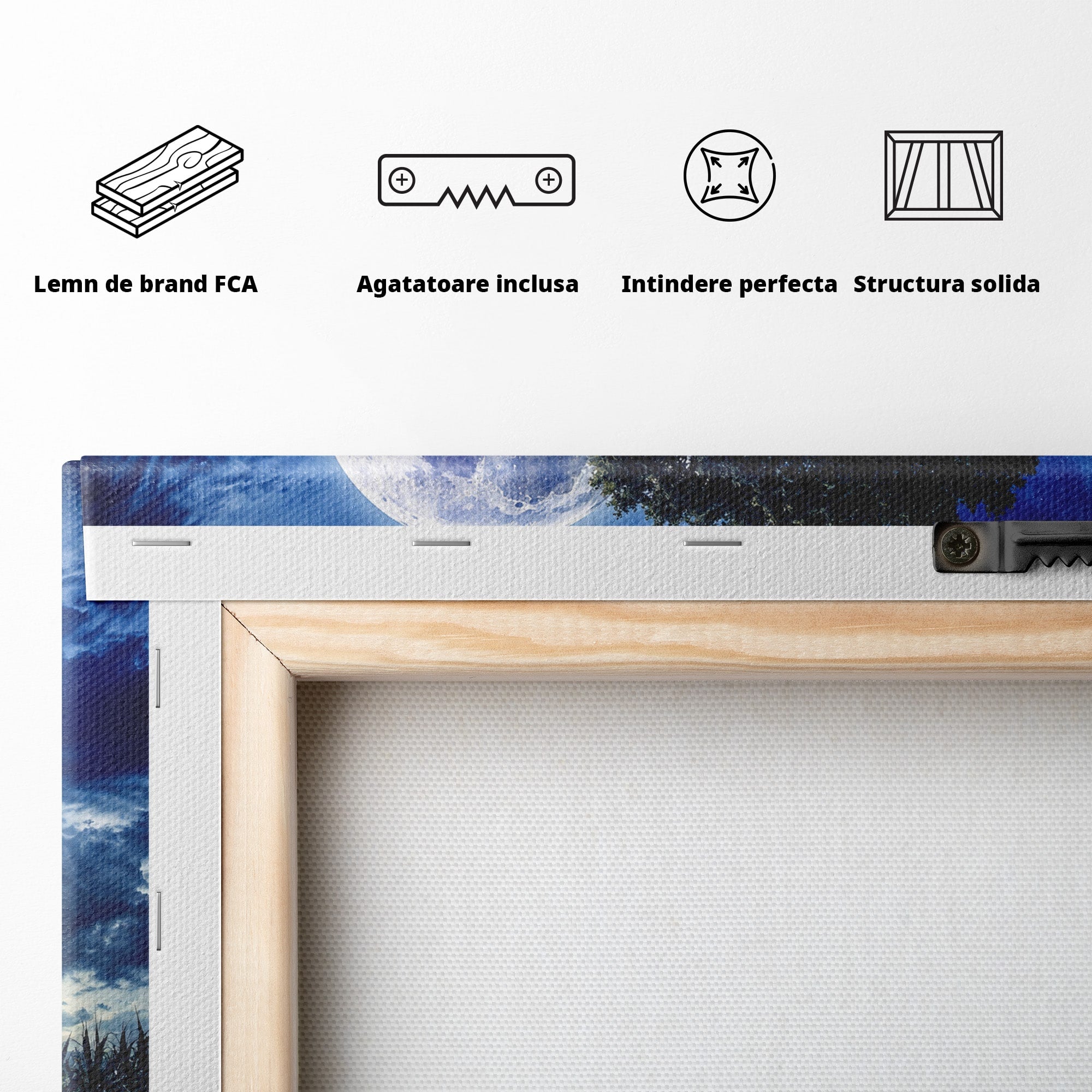 Tablou Canvas Premium LuxCanva® A1884, Luna Plina si Copacul Solitar, Copac, Luna, Peisaj, Noapte, Living, Culori Vibrante