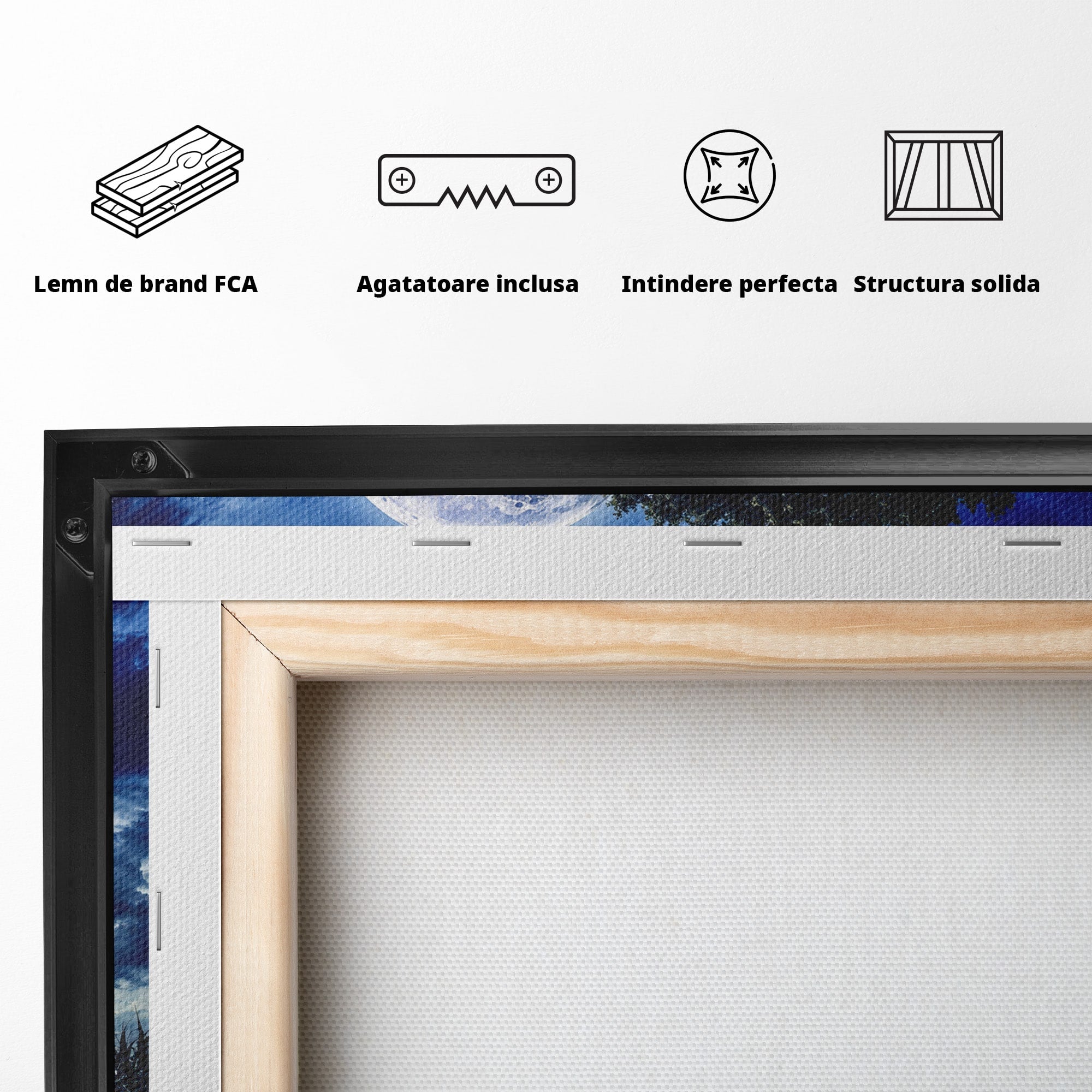 Tablou Canvas Premium LuxCanva® A1884, Luna Plina si Copacul Solitar, Copac, Luna, Peisaj, Noapte, Living, Culori Vibrante