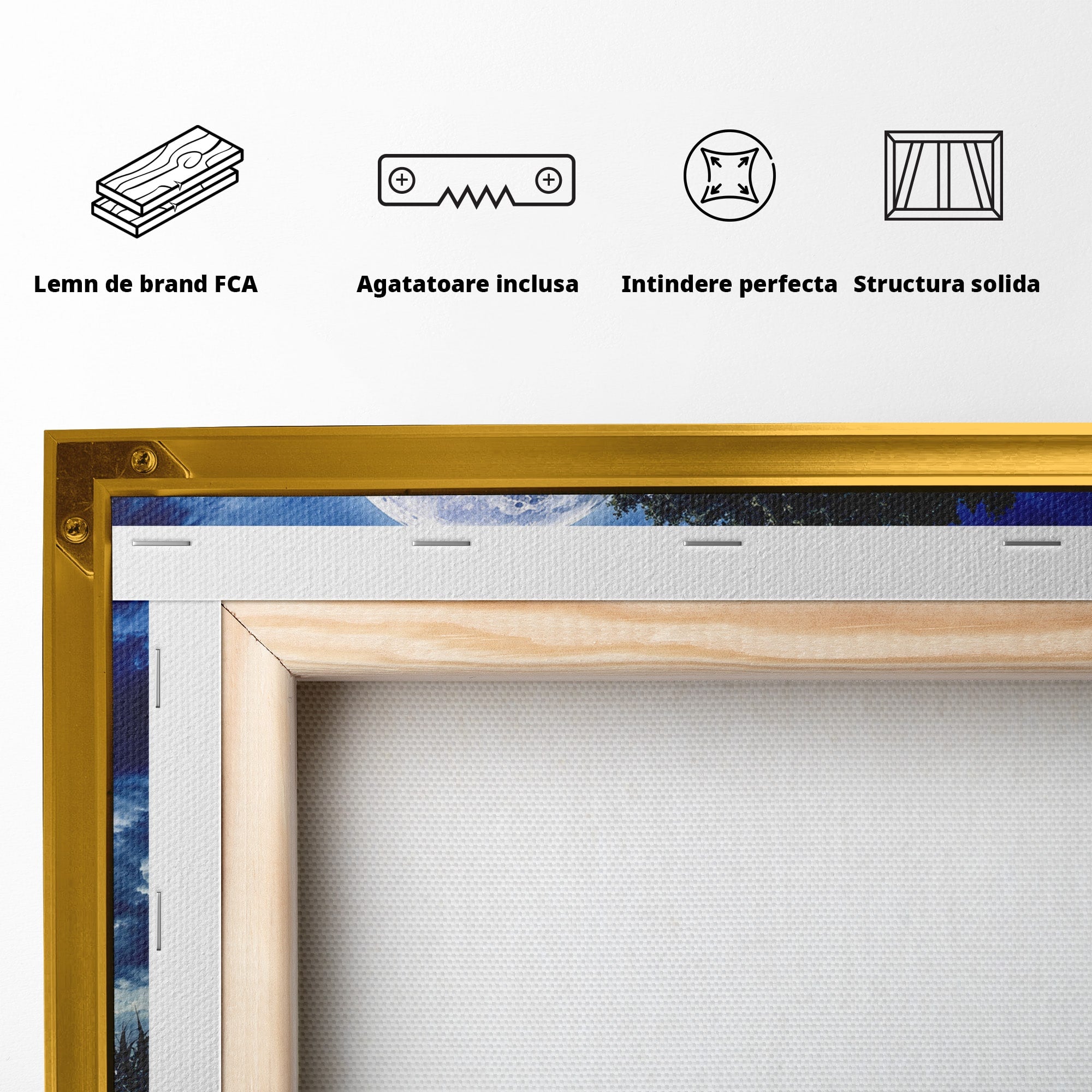 Tablou Canvas Premium LuxCanva® A1884, Luna Plina si Copacul Solitar, Copac, Luna, Peisaj, Noapte, Living, Culori Vibrante