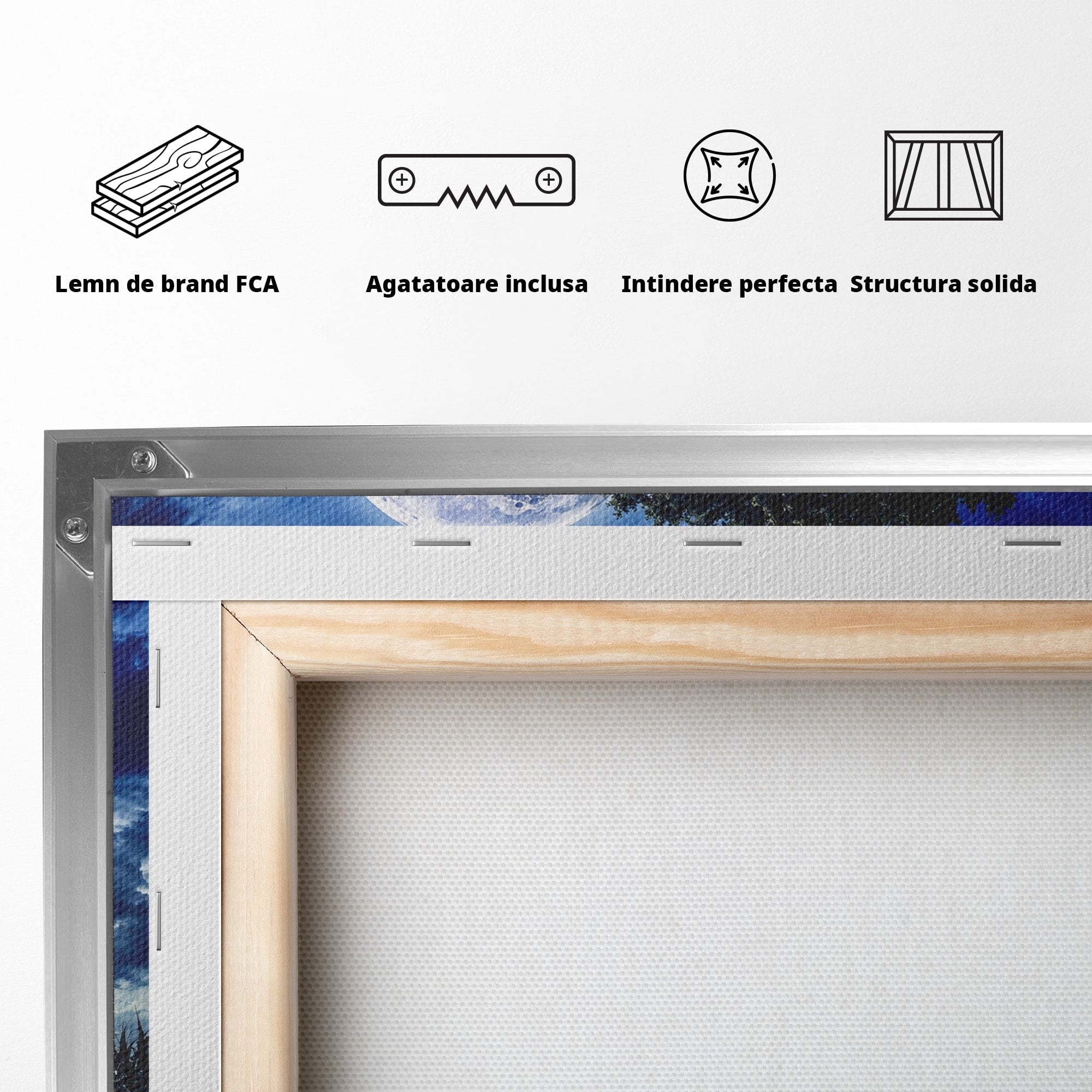 Tablou Canvas Premium LuxCanva® A1884, Luna Plina si Copacul Solitar, Copac, Luna, Peisaj, Noapte, Living, Culori Vibrante