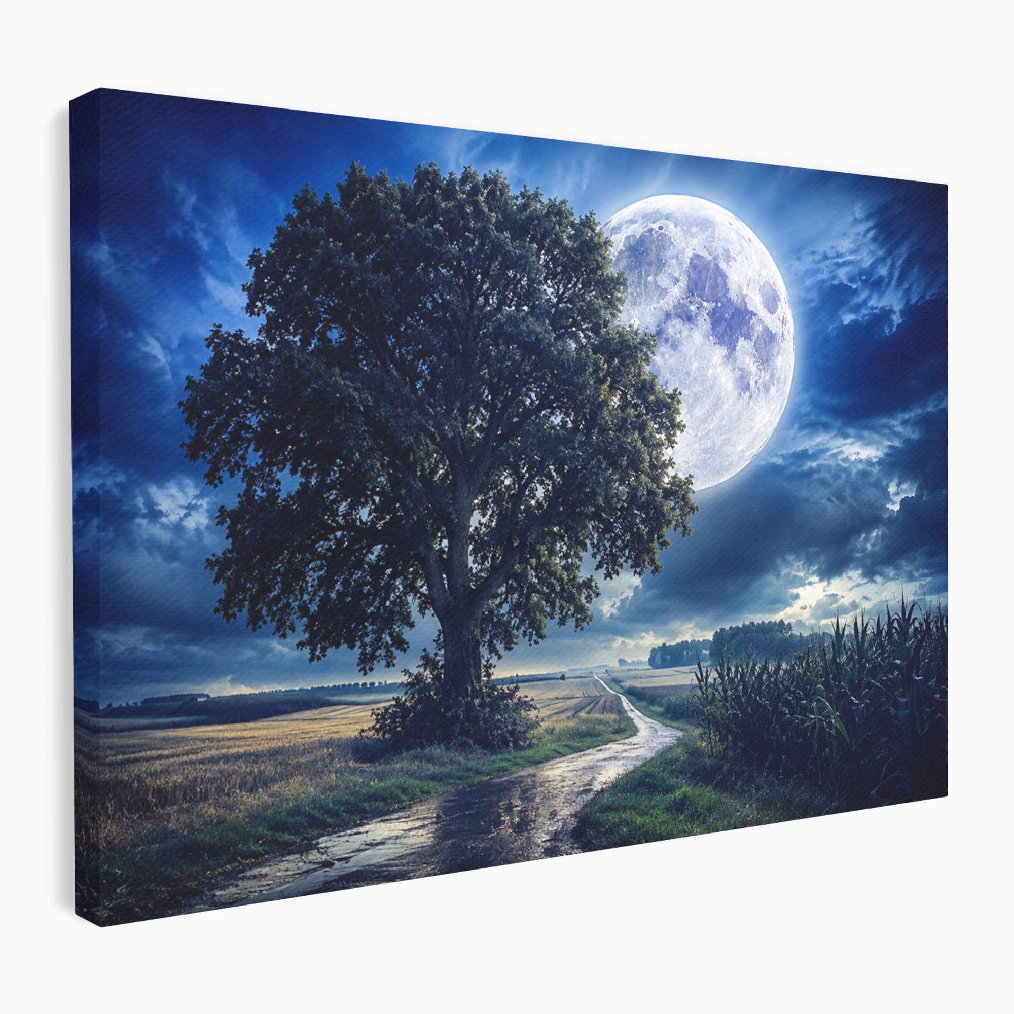 Tablou Canvas Premium LuxCanva® A1884, Luna Plina si Copacul Solitar, Copac, Luna, Peisaj, Noapte, Living, Culori Vibrante