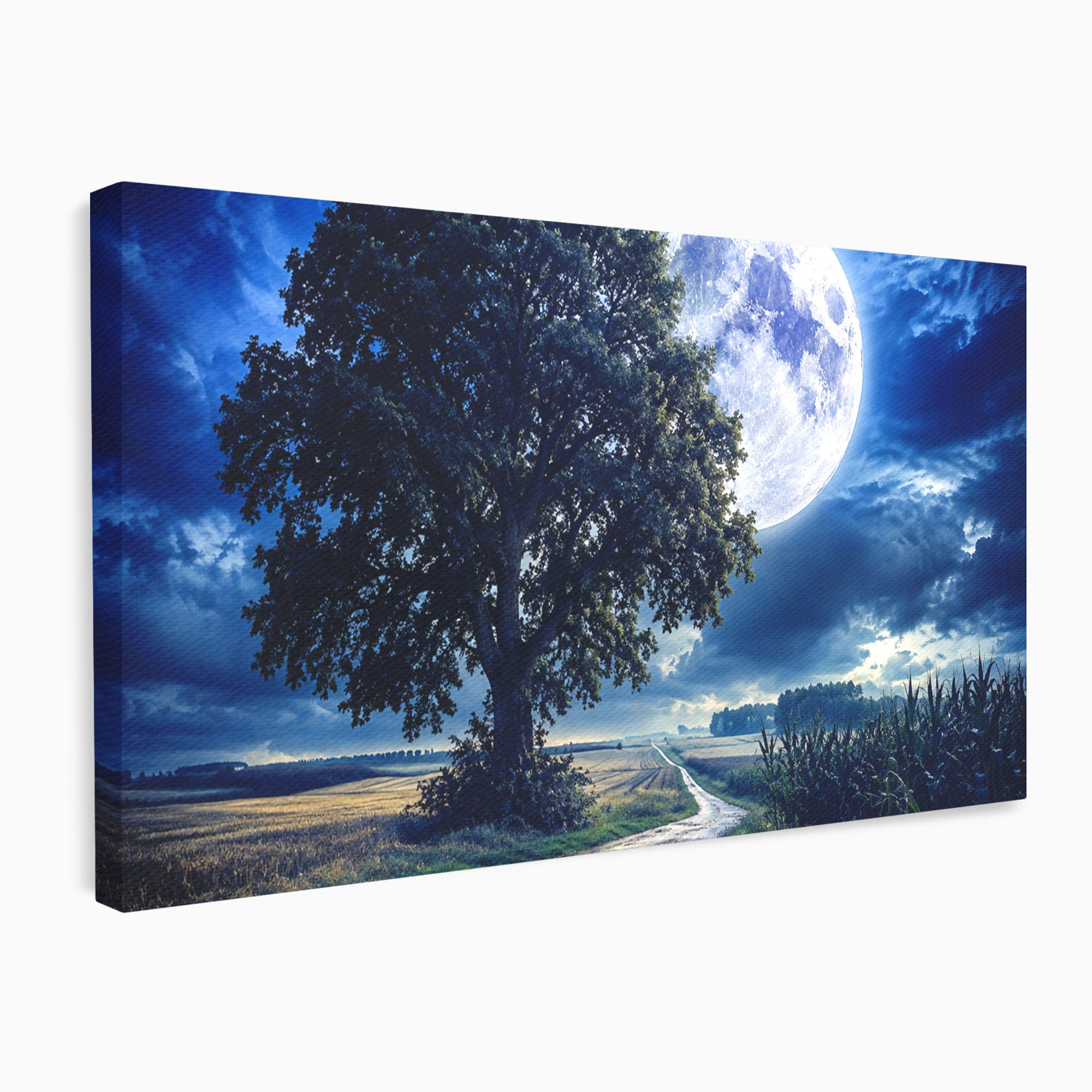 Tablou Canvas Premium LuxCanva® A1884, Luna Plina si Copacul Solitar, Copac, Luna, Peisaj, Noapte, Living, Culori Vibrante