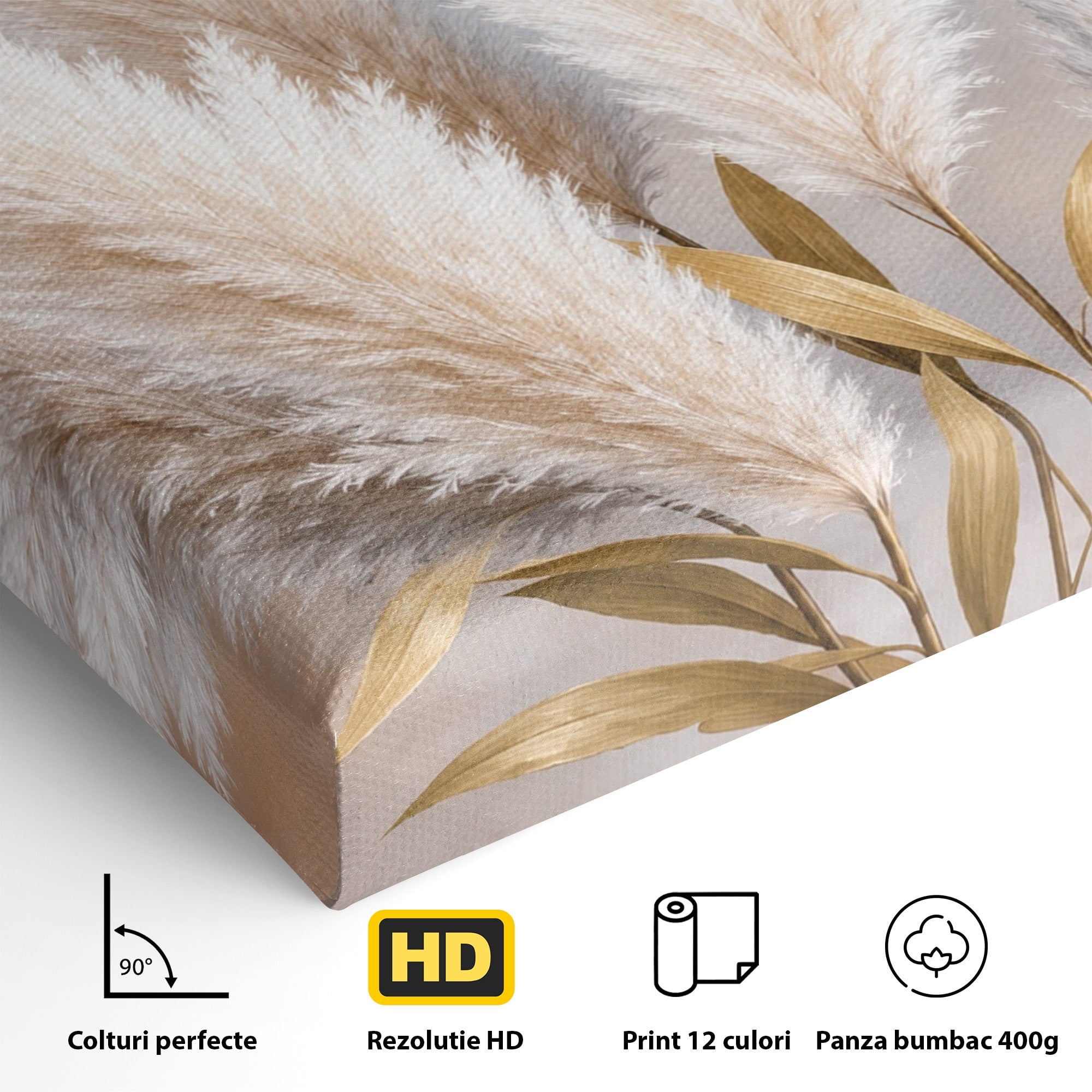 Tablou Canvas Premium LuxCanva® A1889, Pene De Pampas, Pene, Pampas, Natura, Eleganta, Living, Dormitor, Culori Vibrante