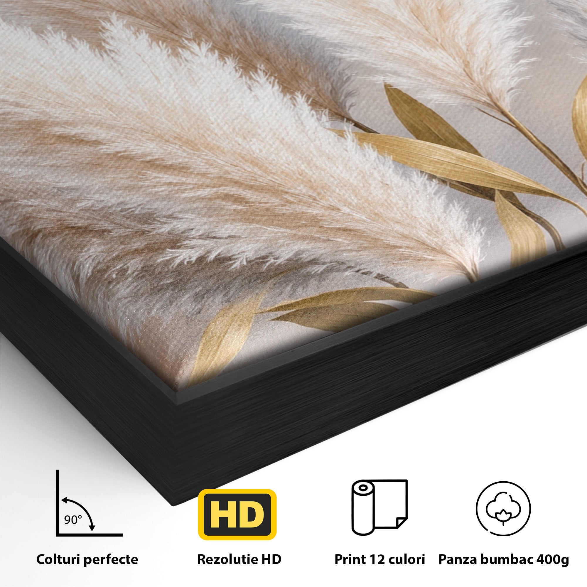 Tablou Canvas Premium LuxCanva® A1889, Pene De Pampas, Pene, Pampas, Natura, Eleganta, Living, Dormitor, Culori Vibrante