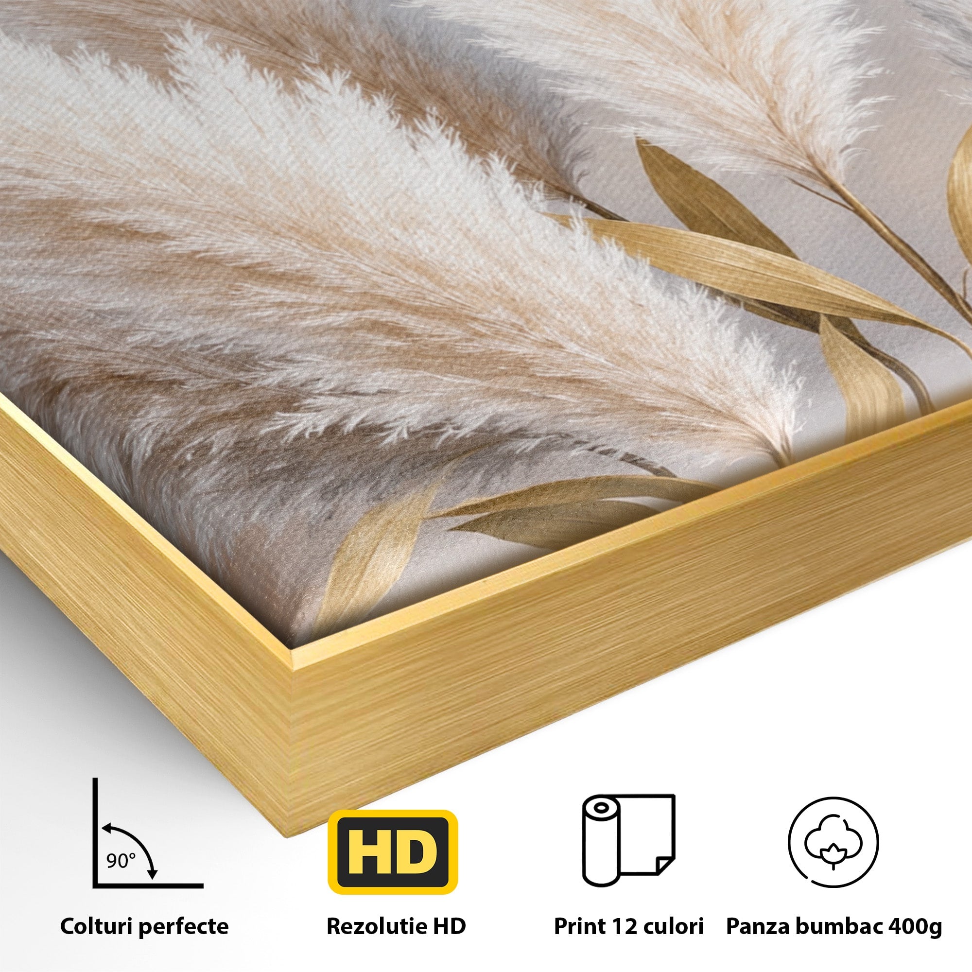 Tablou Canvas Premium LuxCanva® A1889, Pene De Pampas, Pene, Pampas, Natura, Eleganta, Living, Dormitor, Culori Vibrante