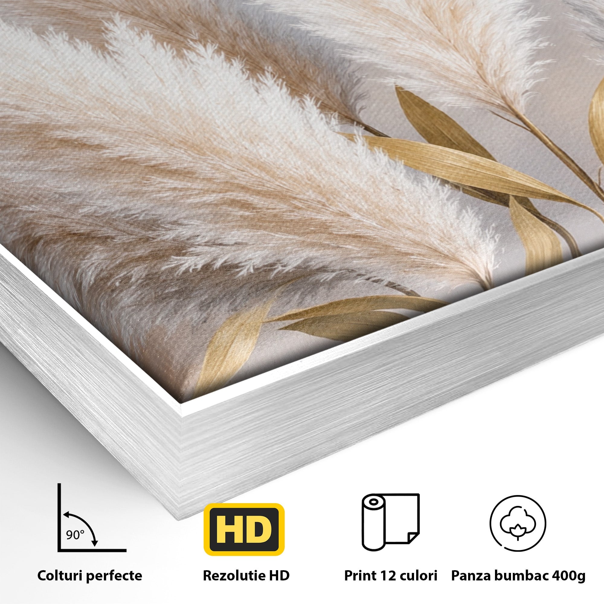 Tablou Canvas Premium LuxCanva® A1889, Pene De Pampas, Pene, Pampas, Natura, Eleganta, Living, Dormitor, Culori Vibrante
