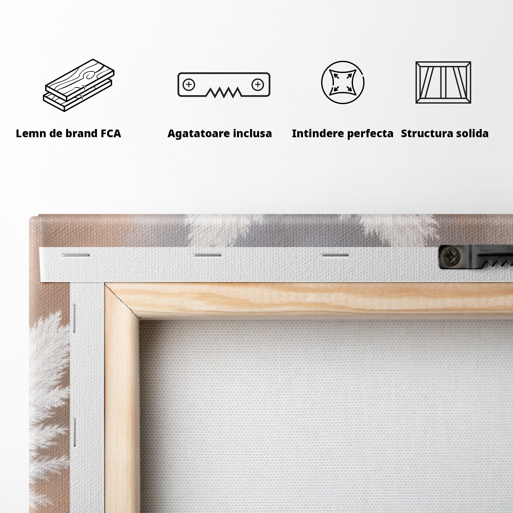 Tablou Canvas Premium LuxCanva® A1889, Pene De Pampas, Pene, Pampas, Natura, Eleganta, Living, Dormitor, Culori Vibrante