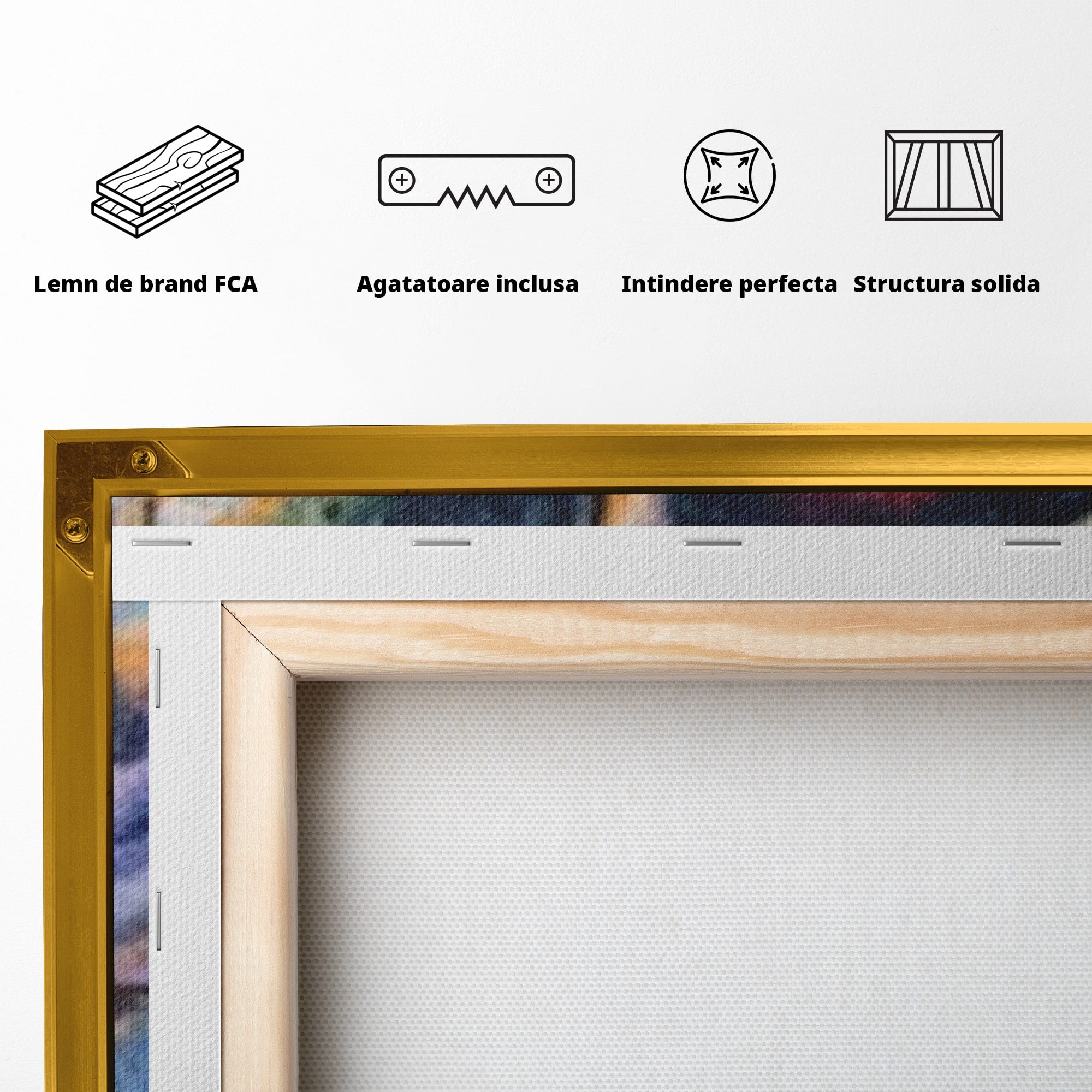 Set 2 Tablouri Canvas Premium LuxCanva® A2-1090, Graffiti, Abstract, Street Art, Multicolor, Culori Vibrante