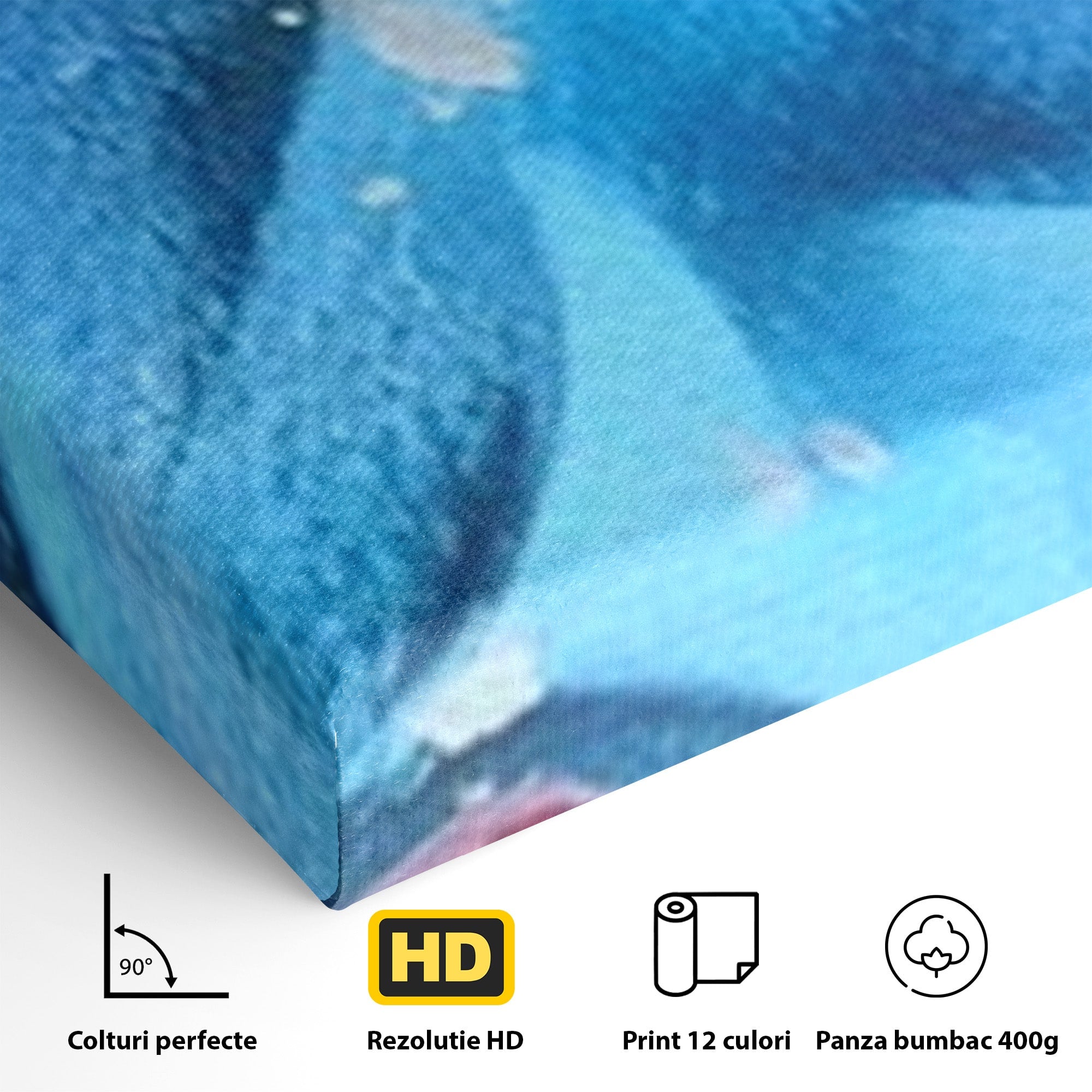 Set 2 Tablouri Canvas Premium LuxCanva® A2-1174, Colorful Graffiti, Graffiti, Multicolor, Birou, Culori Vibrante
