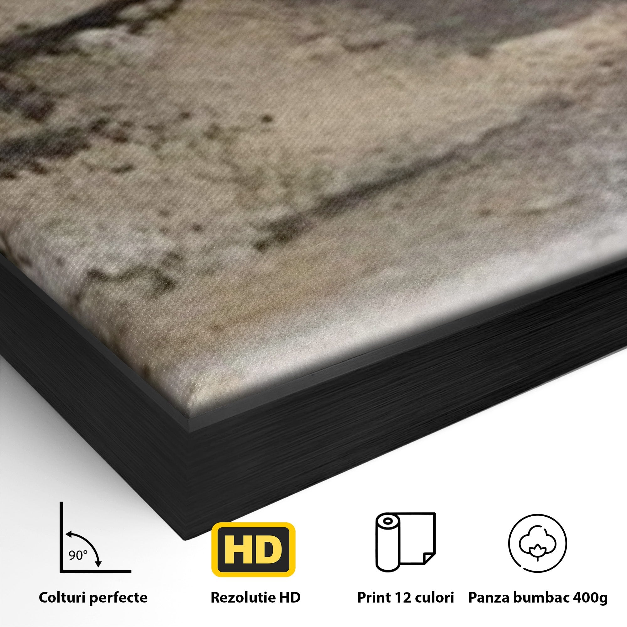 Set 2 Tablouri Canvas Premium LuxCanva® A2-1312, Abstract Gray, Living, Gri, Decorativ, Dormitor, Bronz, Culori Vibrante