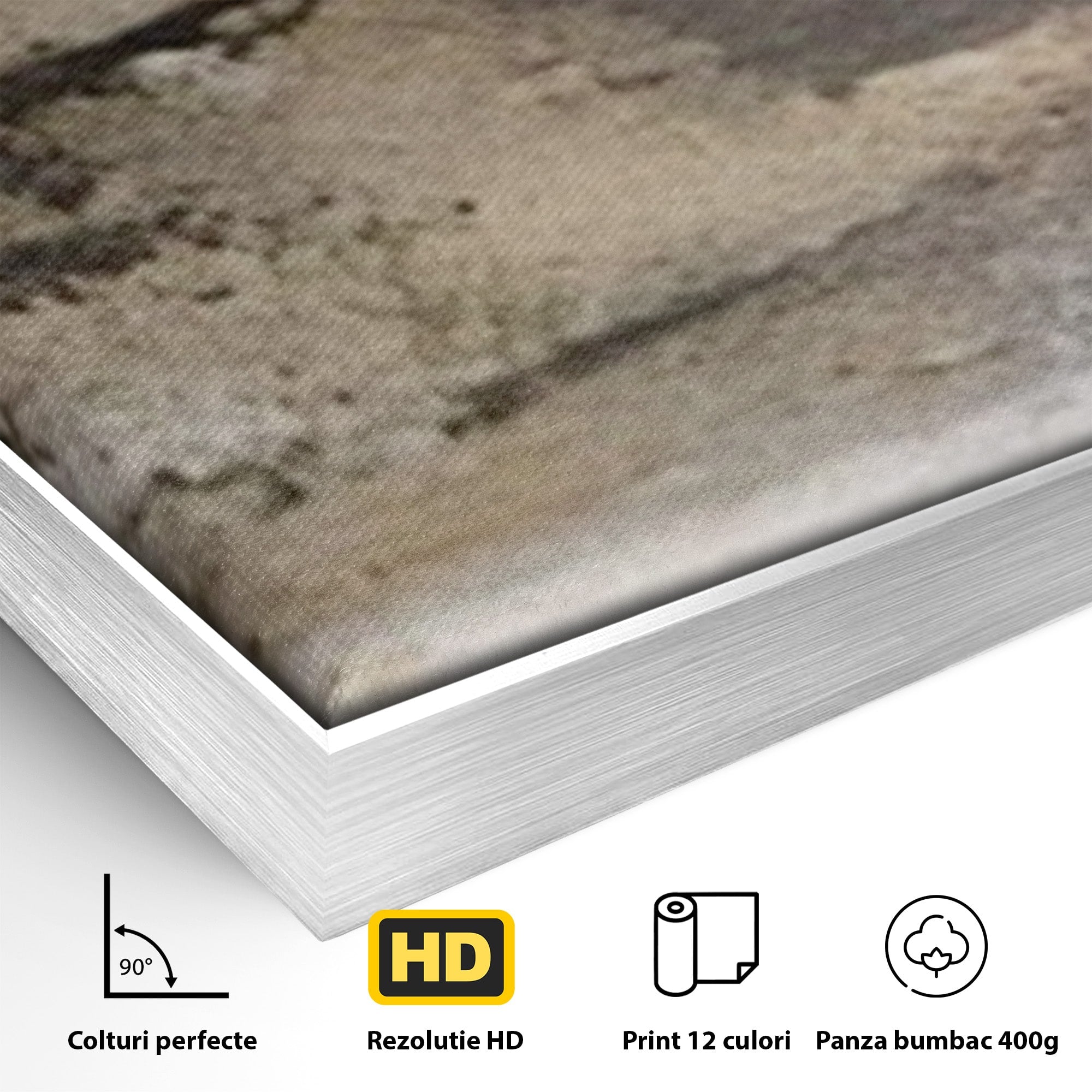 Set 2 Tablouri Canvas Premium LuxCanva® A2-1312, Abstract Gray, Living, Gri, Decorativ, Dormitor, Bronz, Culori Vibrante