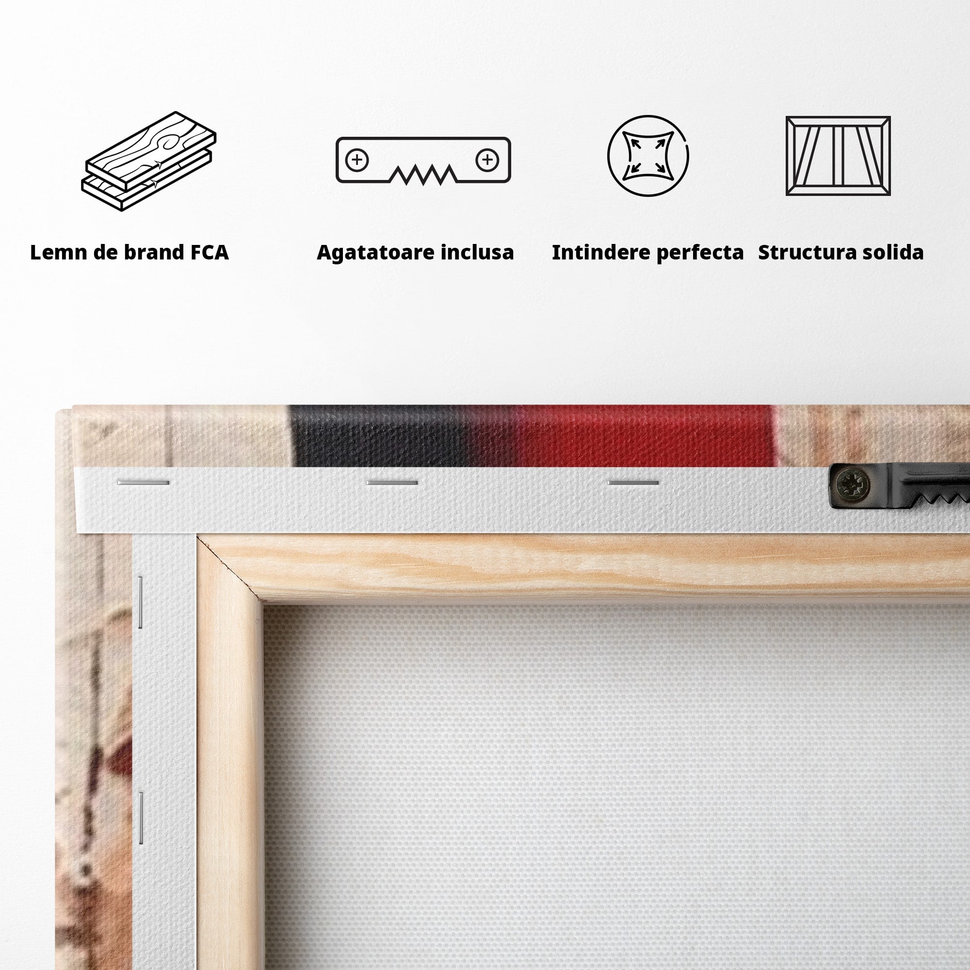 Set 2 Tablouri Canvas Premium LuxCanva® A2-1587, Red Squares, Room, Orizontal, Patrate, Decorativ, Abstract, Living, Culori Vibrante