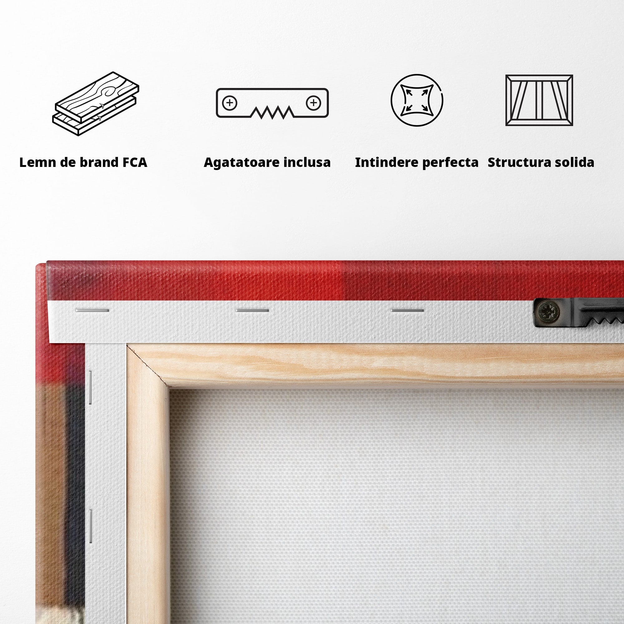 Set 2 Tablouri Canvas Premium LuxCanva® A2-1601, Stare Abstracta, Room, Decorativ, Sentimente, Interpretare, Contraste, Living, Culori Vibrante