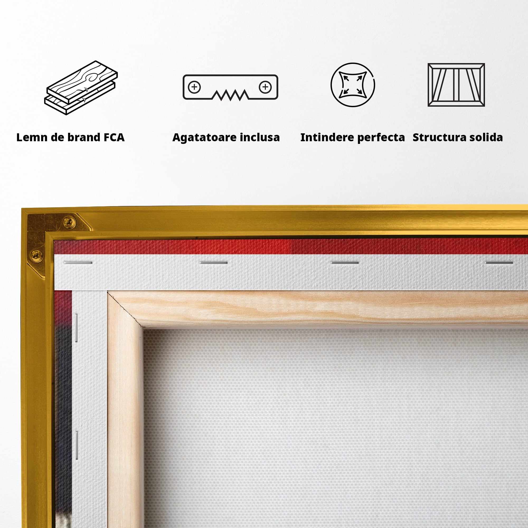 Set 2 Tablouri Canvas Premium LuxCanva® A2-1601, Stare Abstracta, Room, Decorativ, Sentimente, Interpretare, Contraste, Living, Culori Vibrante