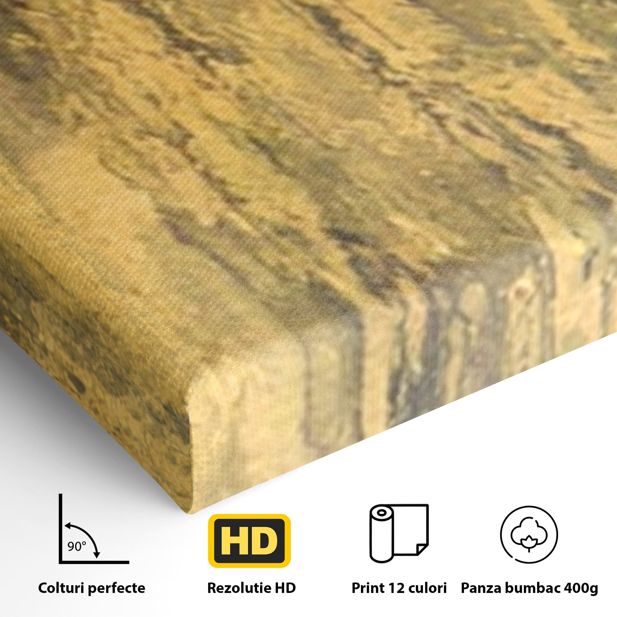 Set 2 Tablouri Canvas Premium LuxCanva® A2-1606, Vibratie Gold, Living, Abstract, Decorativ, Auriu, Dormitor, Culori Vibrante