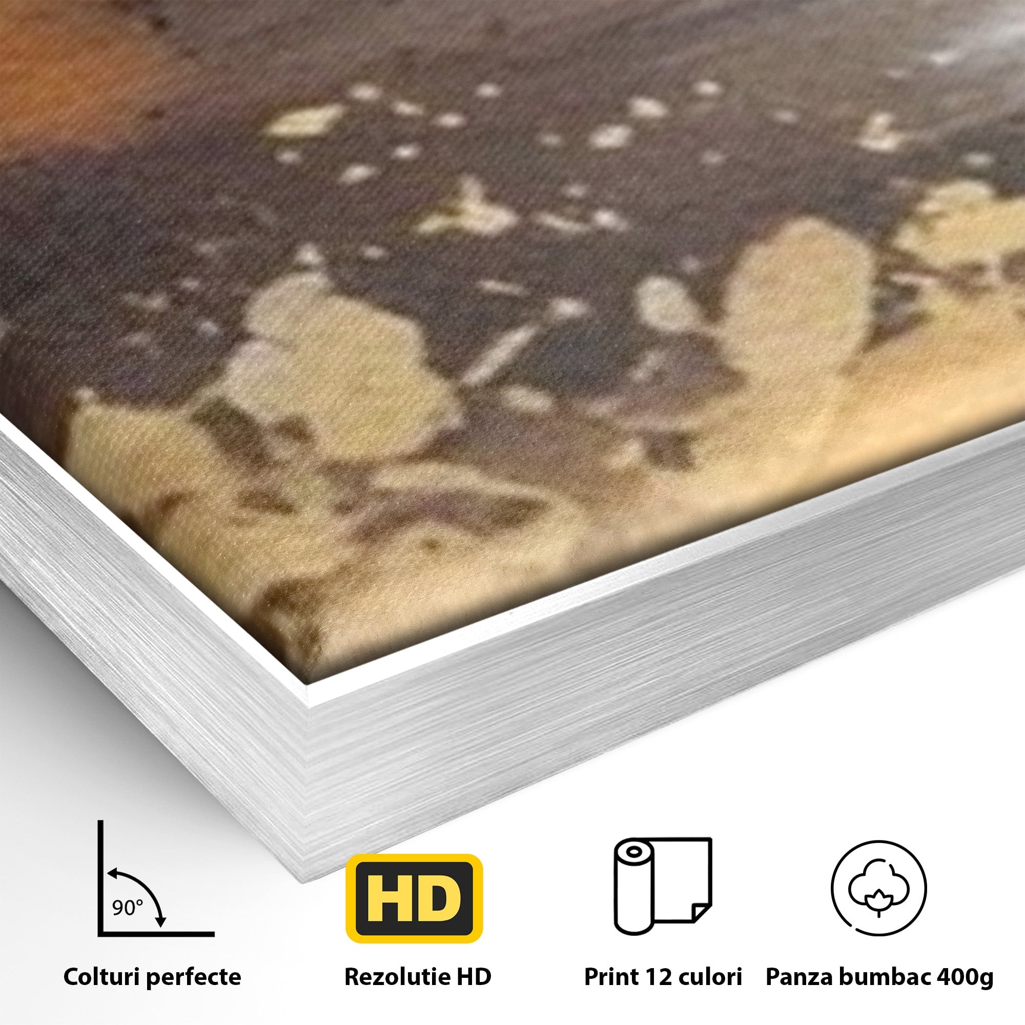 Set 2 Tablouri Canvas Premium LuxCanva® A2-1607, Infinit, Peisaj Abstract, Decorativ, Cosmos, Dormitor, Culori Vibrante