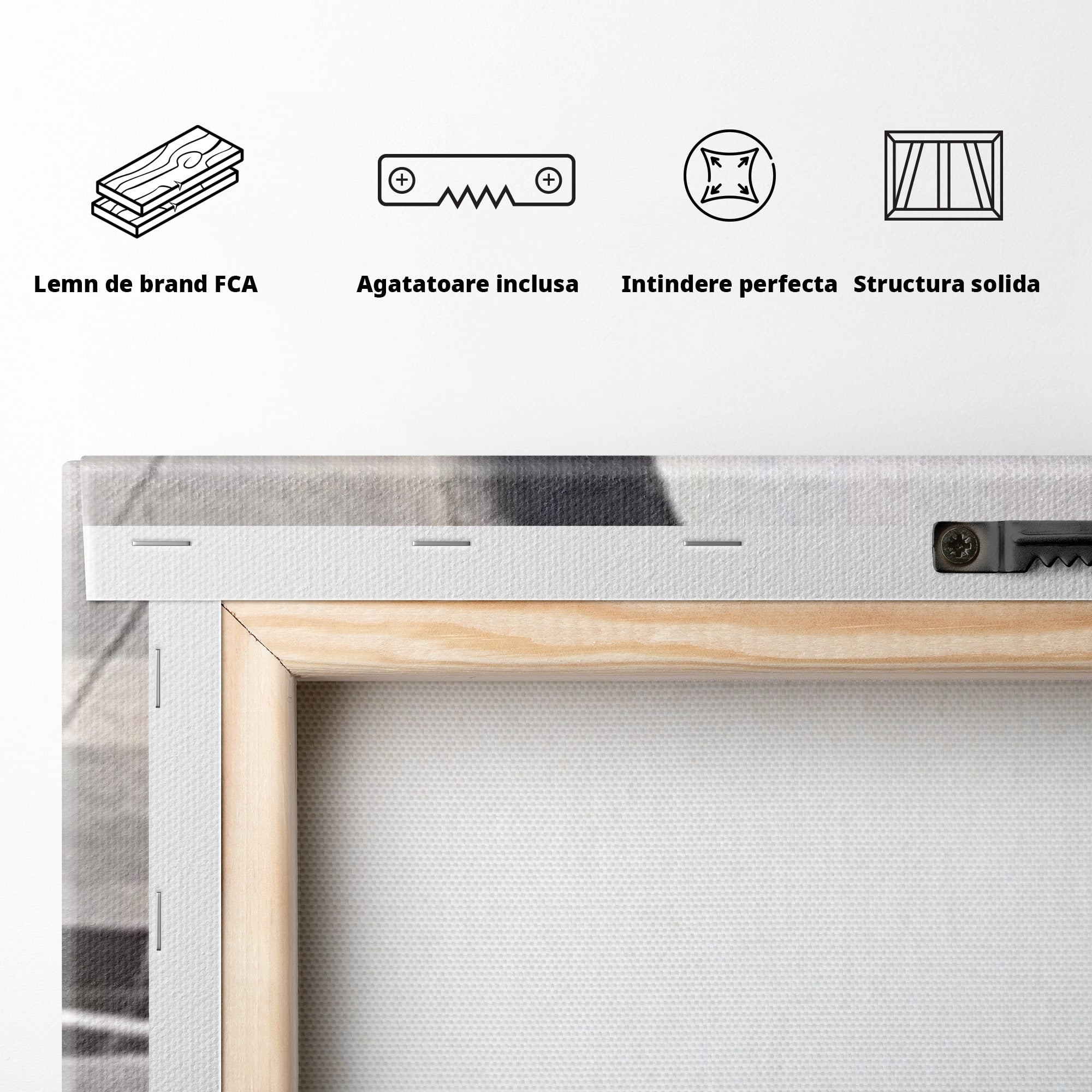 Set 2 Tablouri Canvas Premium LuxCanva® A2-1612, Non-Culori, Room, Abstract, Sfera, Univers, Decorativ, Dormitor, Culori Vibrante