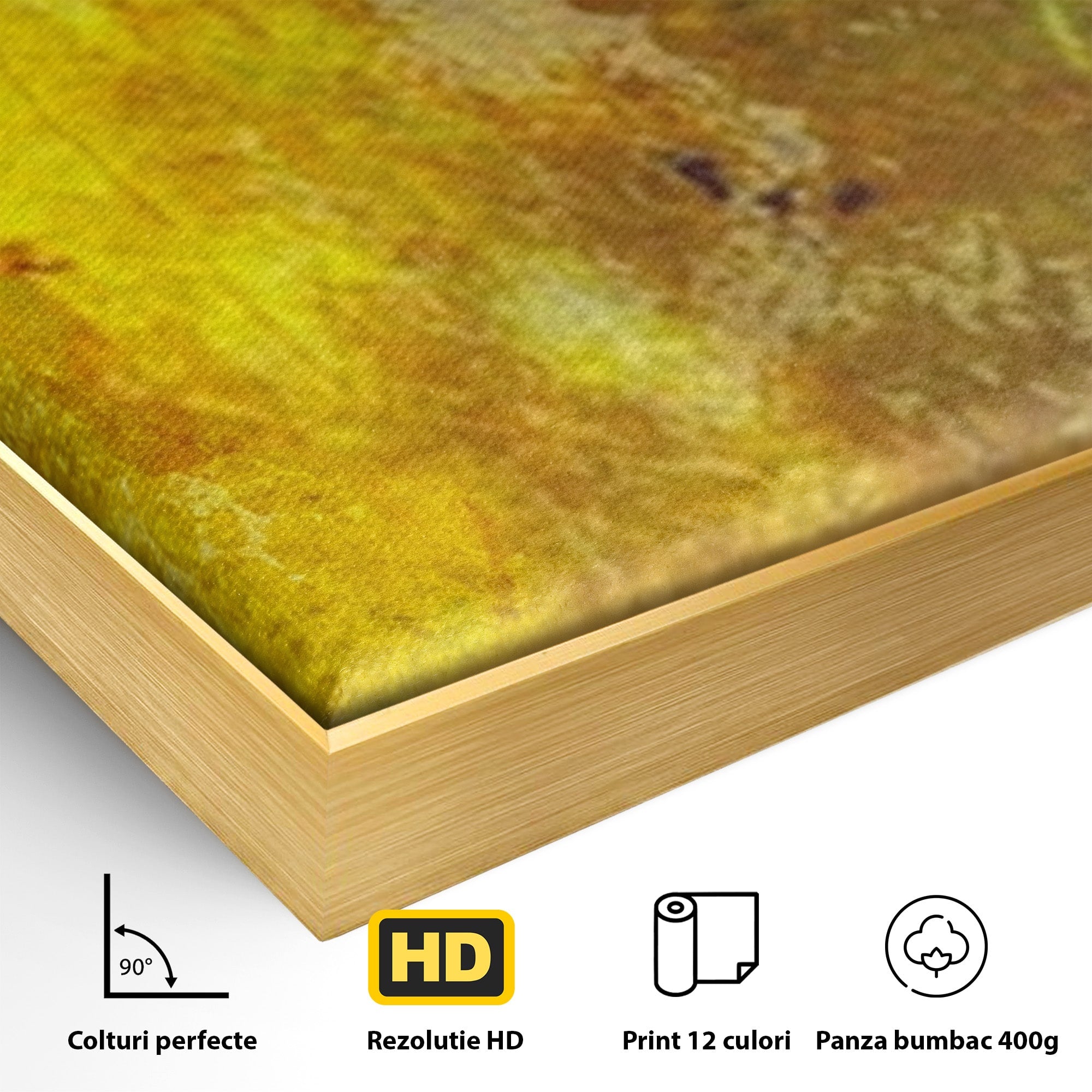 Set 3 Tablouri Canvas Premium LuxCanva® A3-1091, Colorful Green, Abstract, Verde, Blue, Multicolor, Culori Vibrante