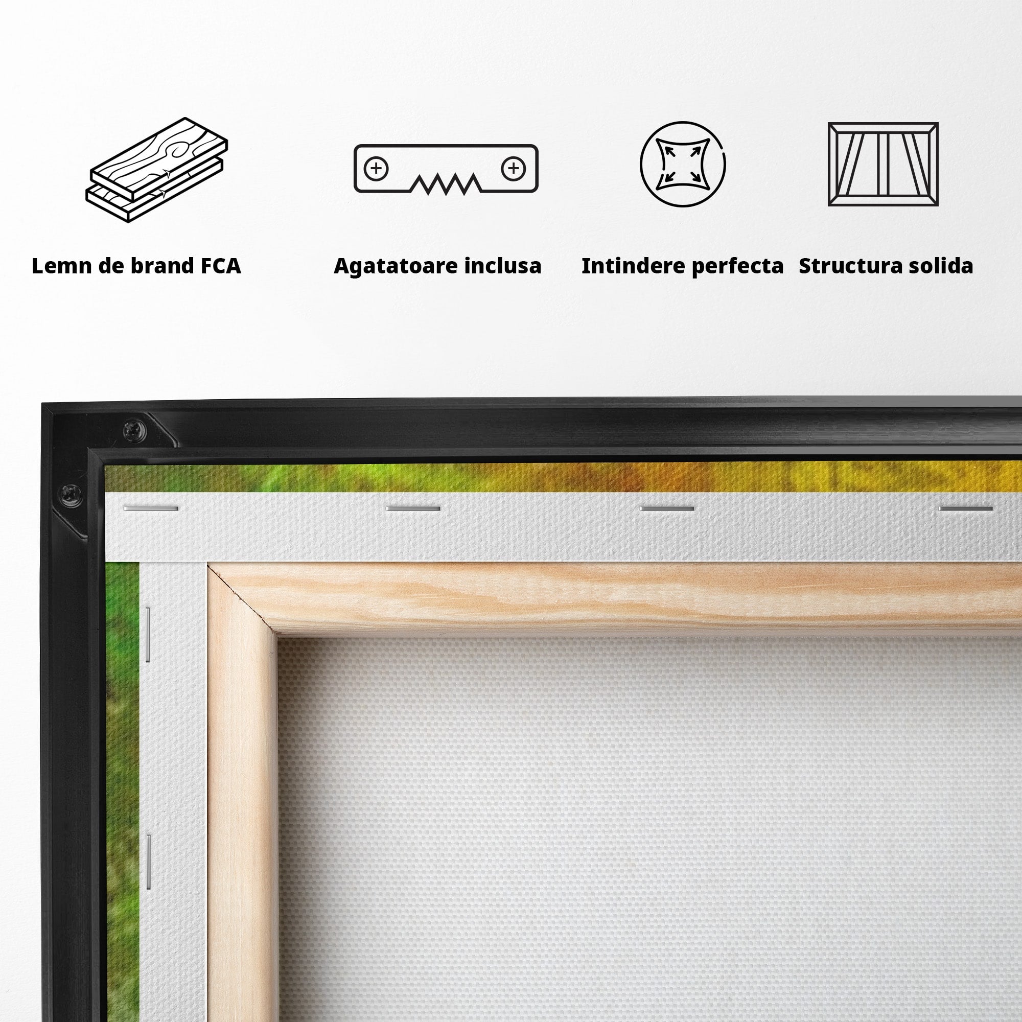 Set 3 Tablouri Canvas Premium LuxCanva® A3-1091, Colorful Green, Abstract, Verde, Blue, Multicolor, Culori Vibrante