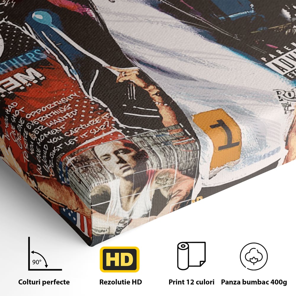 Tablou Canvas Premium LuxCanva® B1003, Eminem , Decorativ, Muzica, Vedete, Hip-Hop, Culori Vibrante