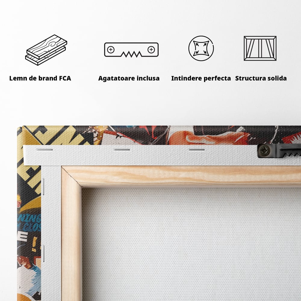 Tablou Canvas Premium LuxCanva® B1003, Eminem , Decorativ, Muzica, Vedete, Hip-Hop, Culori Vibrante
