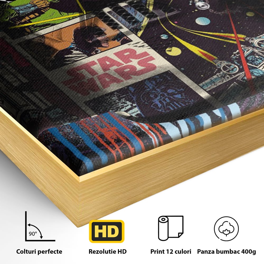 Tablou Canvas Premium, LuxCanva® B1013, Star Wars, Serial, Disney, Univers, Darth Vader, Culori Vibrante