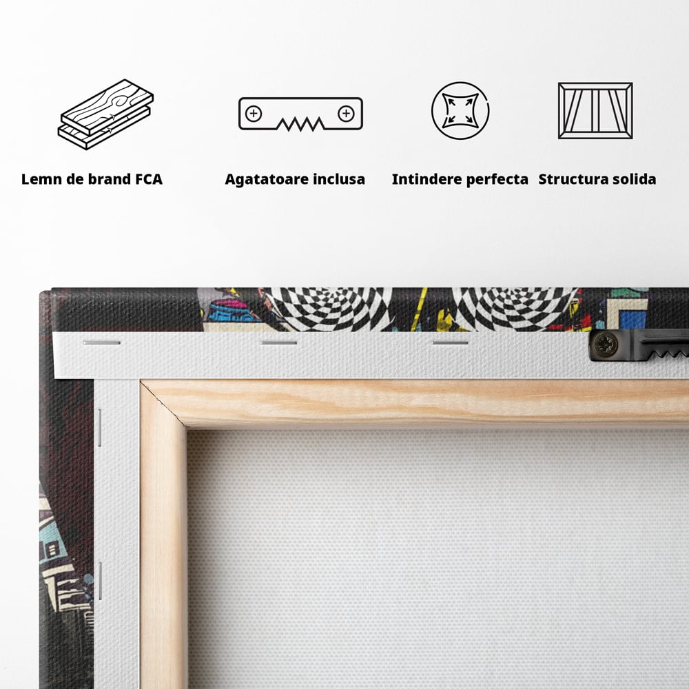 Tablou Canvas Premium, LuxCanva® B1013, Star Wars, Serial, Disney, Univers, Darth Vader, Culori Vibrante