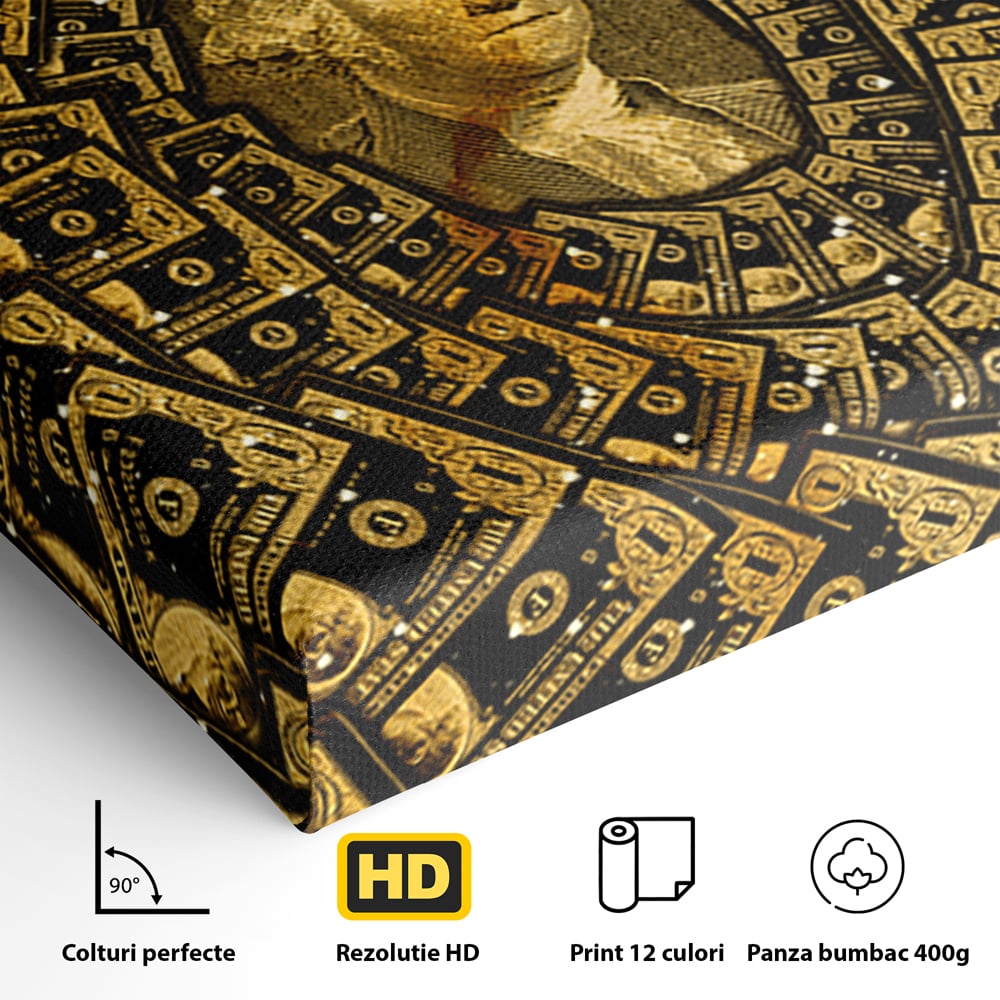 Tablou Canvas Premium LuxCanva® B1034, George Washington , Decorativ, Presedinte, America, Dolari, Culori Vibrante