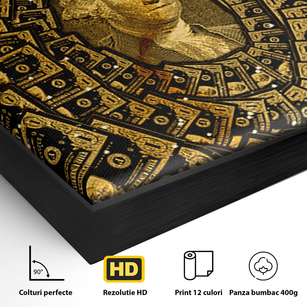 Tablou Canvas Premium LuxCanva® B1034, George Washington , Decorativ, Presedinte, America, Dolari, Culori Vibrante