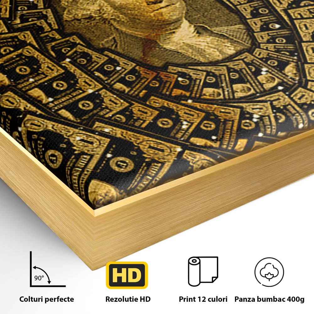 Tablou Canvas Premium LuxCanva® B1034, George Washington , Decorativ, Presedinte, America, Dolari, Culori Vibrante