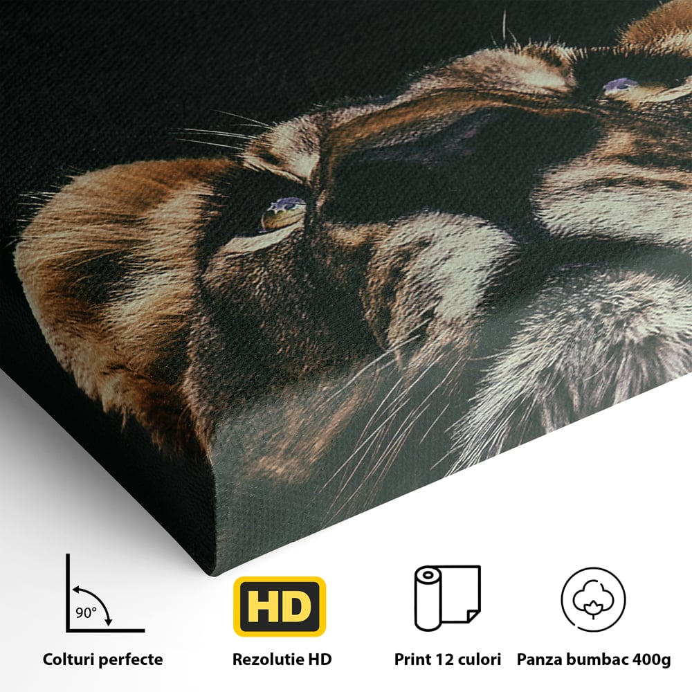 Tablou Canvas Premium LuxCanva® B1035, Stay Focused On Your Prey , Decorativ, Concentrare, Putere, Leu, Motivational, Culori Vibrante