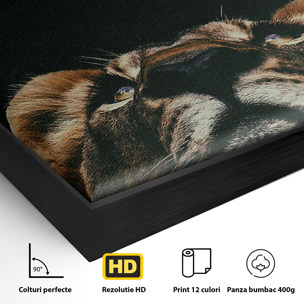 Tablou Canvas Premium LuxCanva® B1035, Stay Focused On Your Prey , Decorativ, Concentrare, Putere, Leu, Motivational, Culori Vibrante