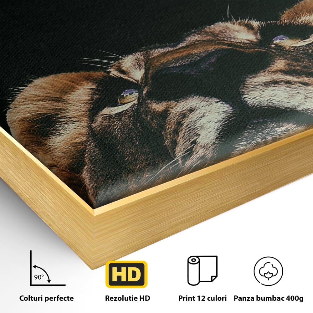 Tablou Canvas Premium LuxCanva® B1035, Stay Focused On Your Prey , Decorativ, Concentrare, Putere, Leu, Motivational, Culori Vibrante