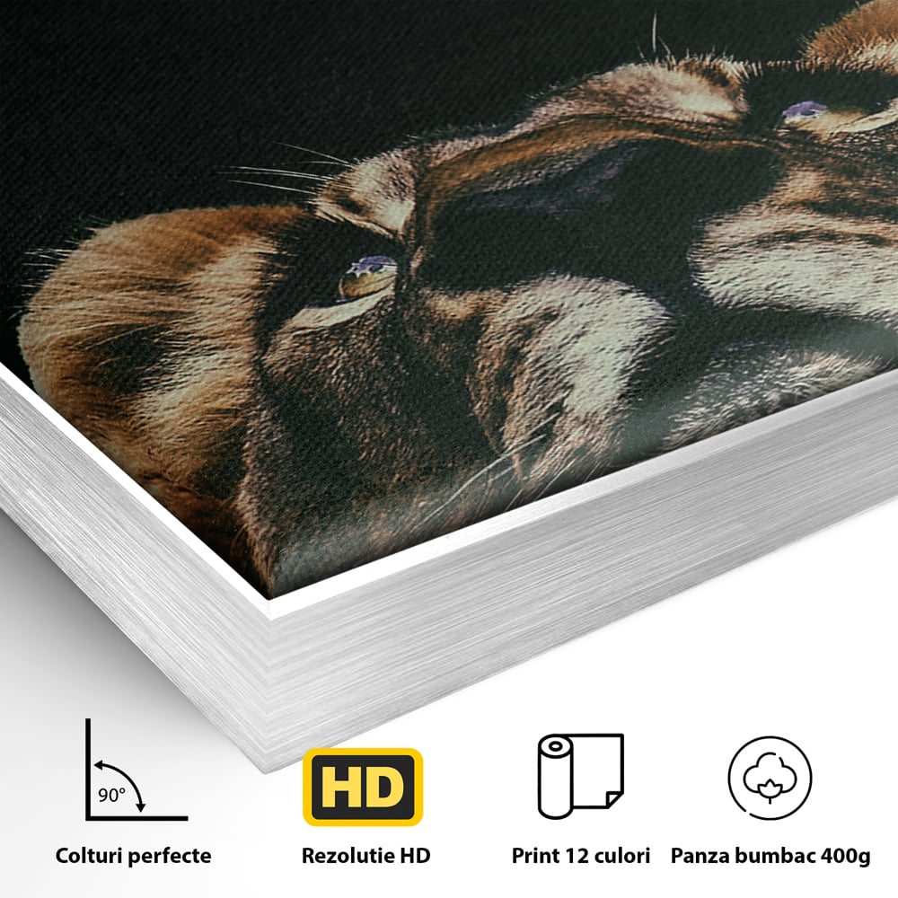 Tablou Canvas Premium LuxCanva® B1035, Stay Focused On Your Prey , Decorativ, Concentrare, Putere, Leu, Motivational, Culori Vibrante