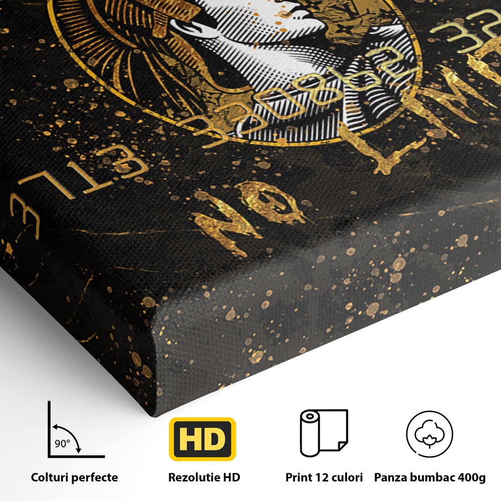 Tablou Canvas Premium LuxCanva® B1036, No Limit , Decorativ, Card, Banca, Finante, Culori Vibrante