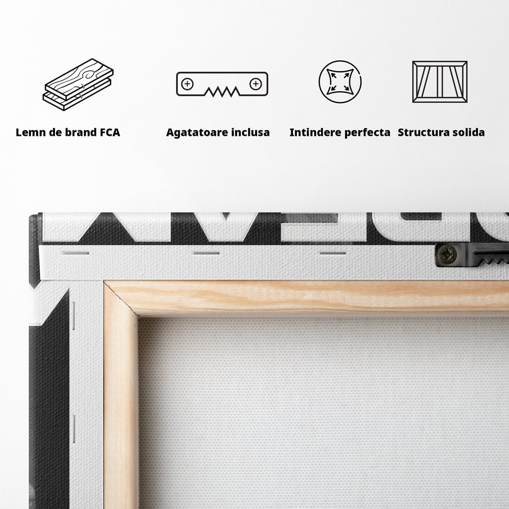 Tablou Canvas Premium LuxCanva® B1038, It All Starts With A Dream , Decorativ, Inspirational, Rolls-Royce, Alb Si Negru