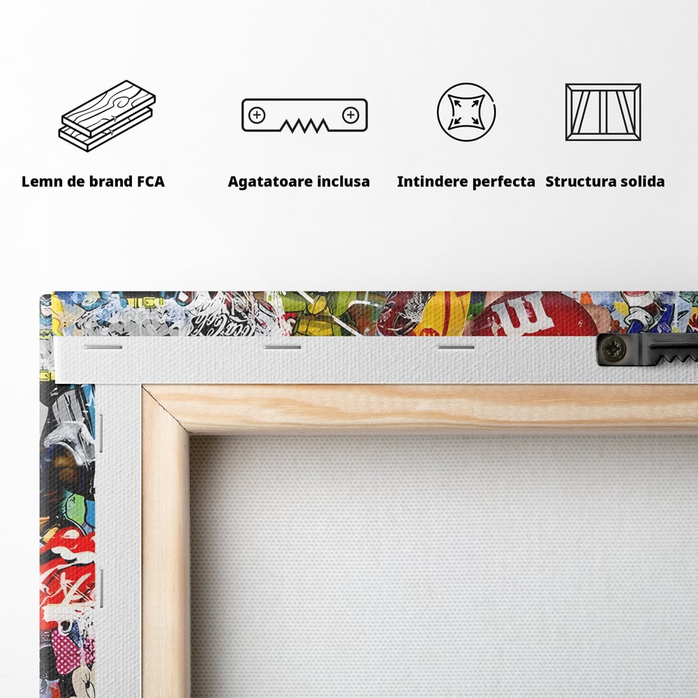 Tablou Canvas Premium, LuxCanva® B1046, Personaje Disney, Dormitor, Disney, Desene Animate, Copii, Mickey, Multicolor, Culori Vibrante