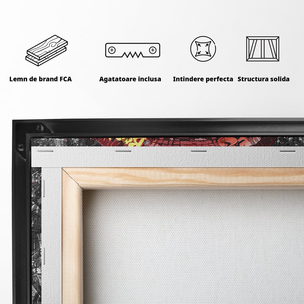 Tablou Canvas Premium LuxCanva® B1047, Red Lips , Dormitor, Living, Dolari, Rosu, Buze, Senzualitate, Multicolor, Culori Vibrante