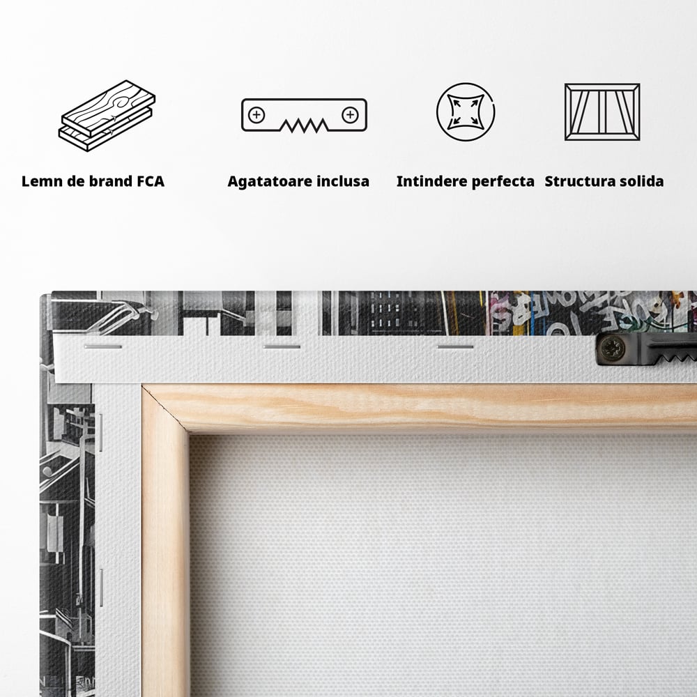 Tablou Canvas Premium LuxCanva® B1054, Calator prin oras , Decorativ, Living, Calator, San Francisco, Oras, Culori Vibrante