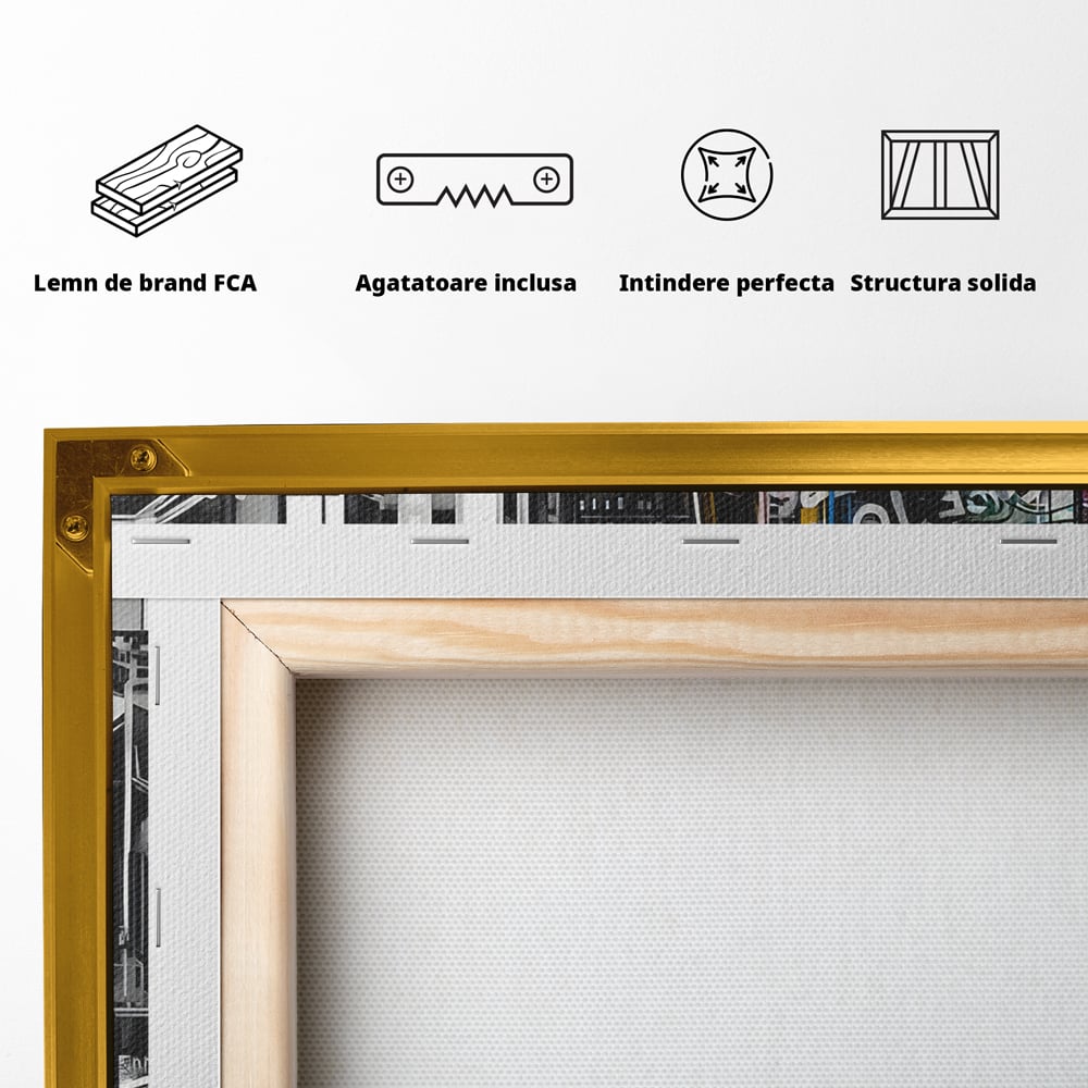 Tablou Canvas Premium LuxCanva® B1054, Calator prin oras , Decorativ, Living, Calator, San Francisco, Oras, Culori Vibrante