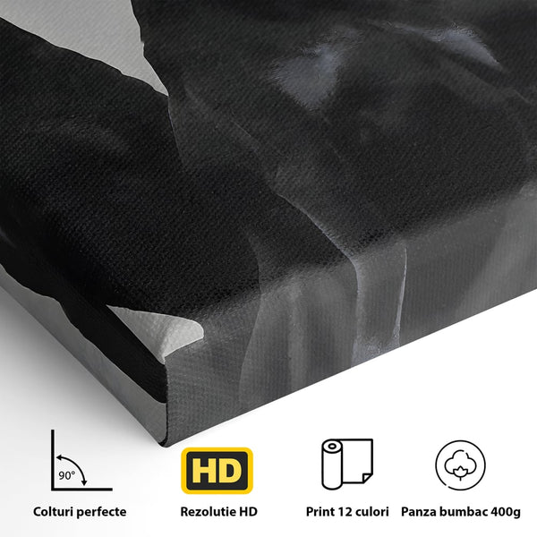 Tablou Canvas Premium, LuxCanva® B1058, Balenciaga Doberman, Decorativ, Birou, Lux, Brand, Salon, Caini, Alb si Negru