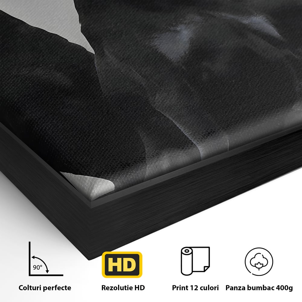 Tablou Canvas Premium, LuxCanva® B1058, Balenciaga Doberman, Decorativ, Birou, Lux, Brand, Salon, Caini, Alb si Negru