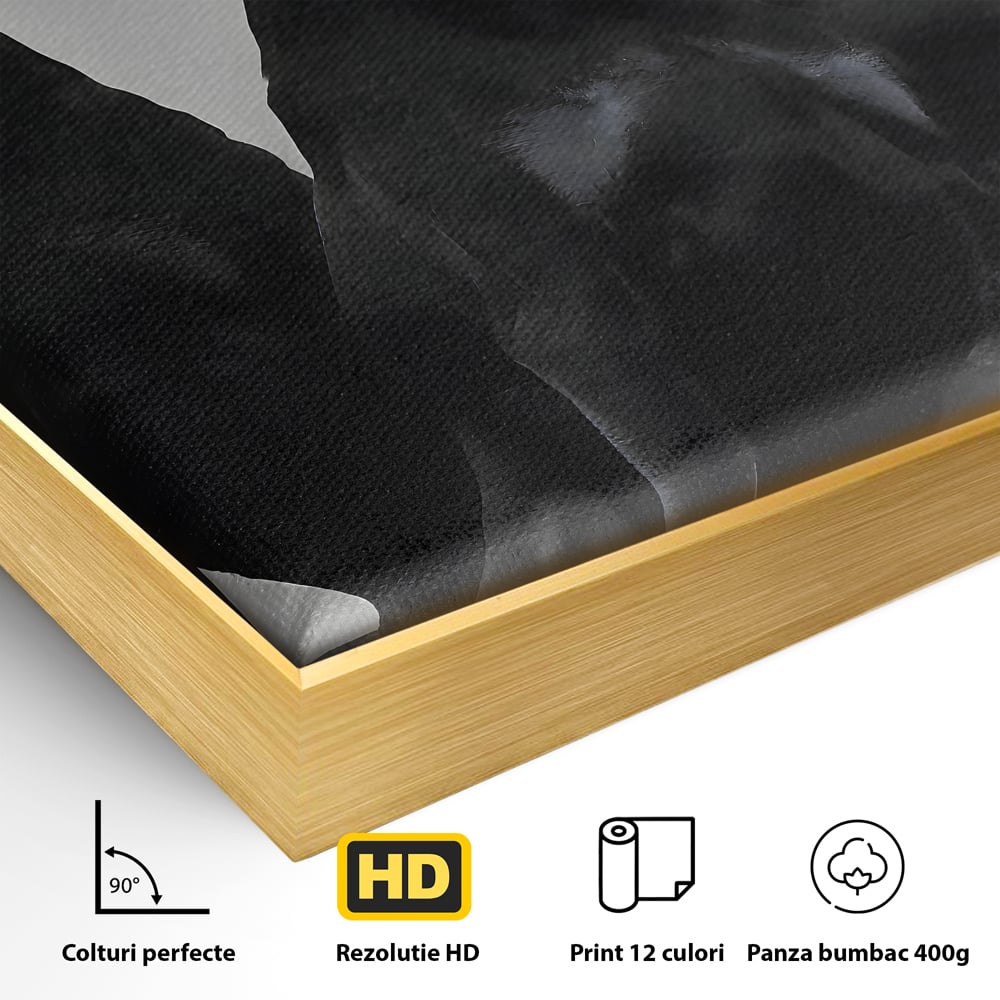 Tablou Canvas Premium, LuxCanva® B1058, Balenciaga Doberman, Decorativ, Birou, Lux, Brand, Salon, Caini, Alb si Negru